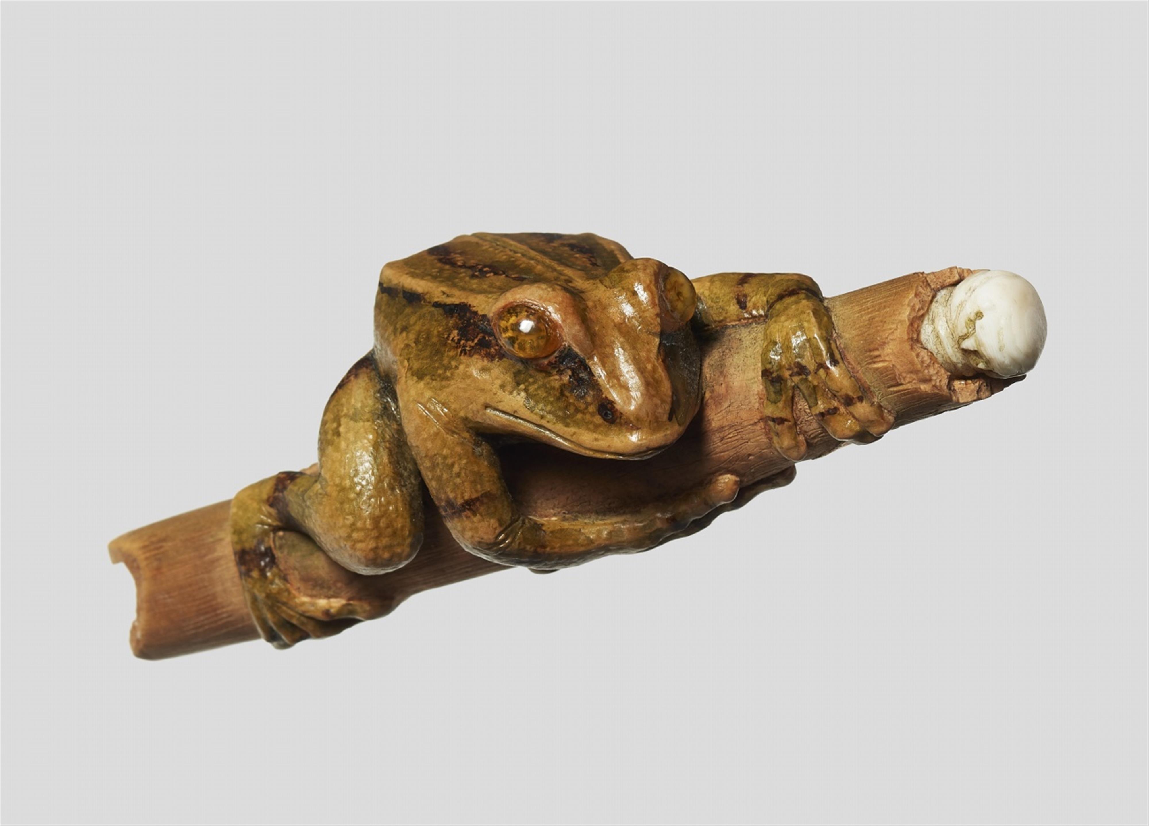 Grenouille sur un vieux morceau de bambou / A frog on an old bamboo piece. Yann Christophe Lemaire. 2006 - image-1