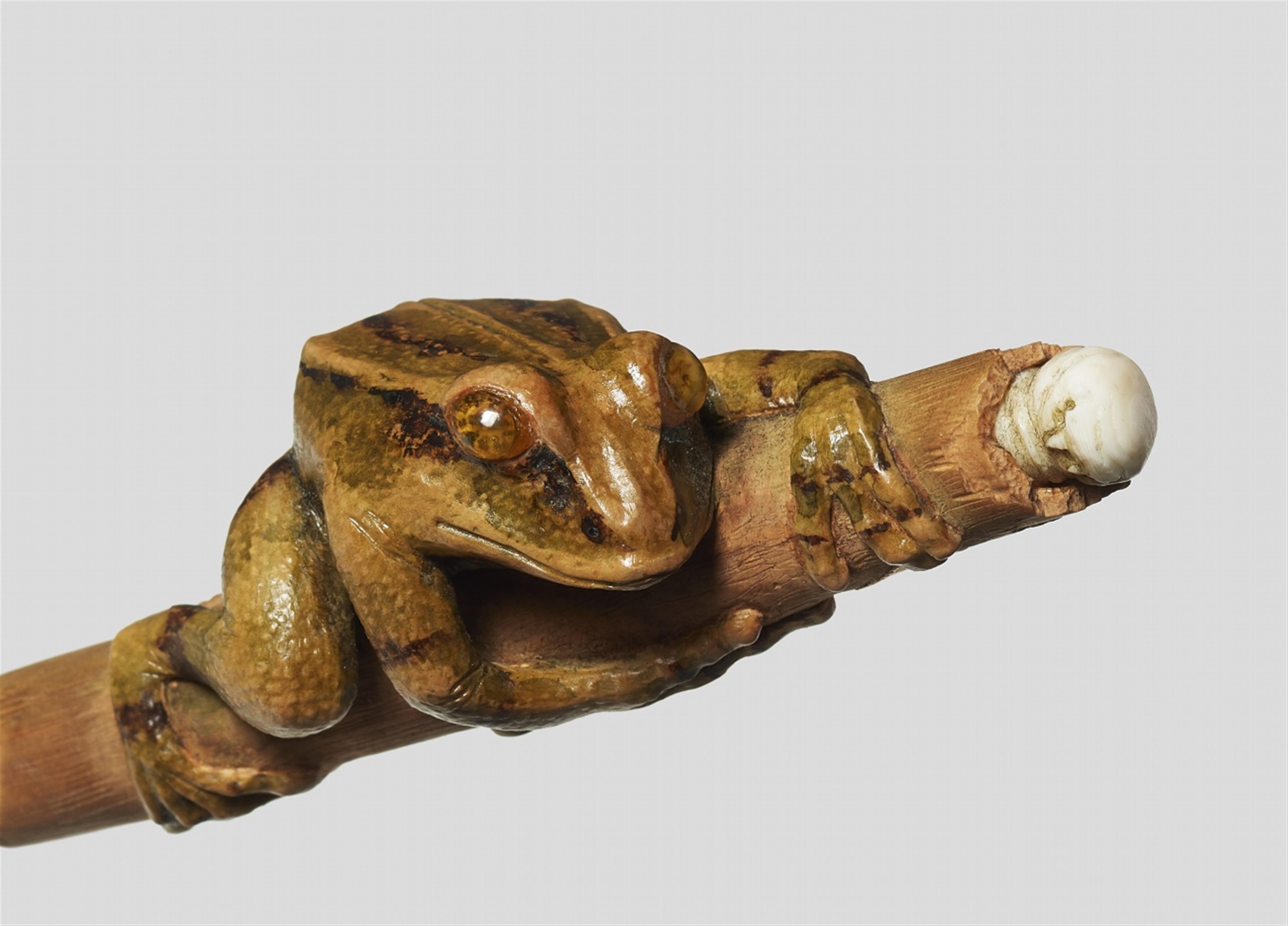 Grenouille sur un vieux morceau de bambou / A frog on an old bamboo piece. Yann Christophe Lemaire. 2006 - image-4