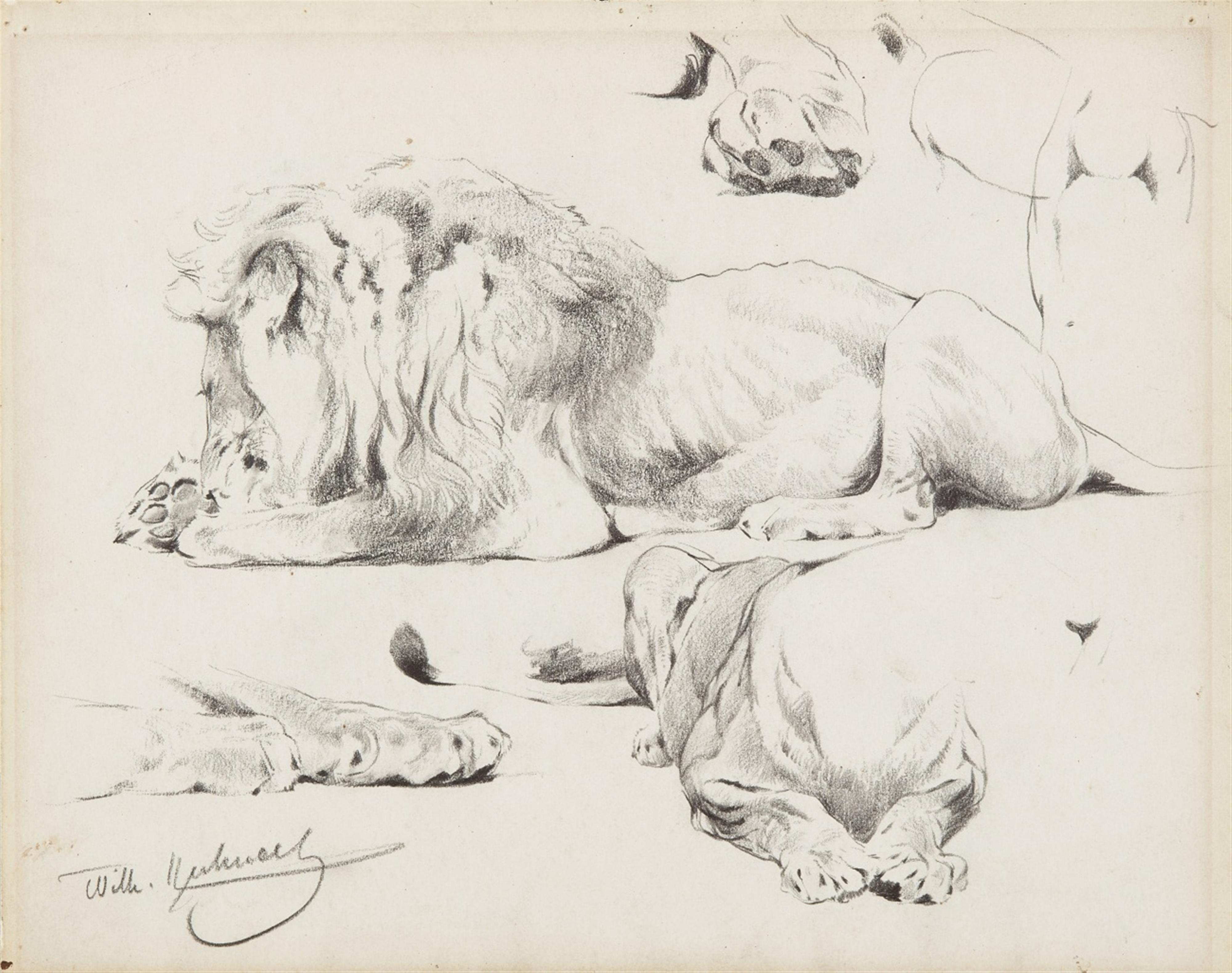 Two Studies of Recumbent Lions - image-1
