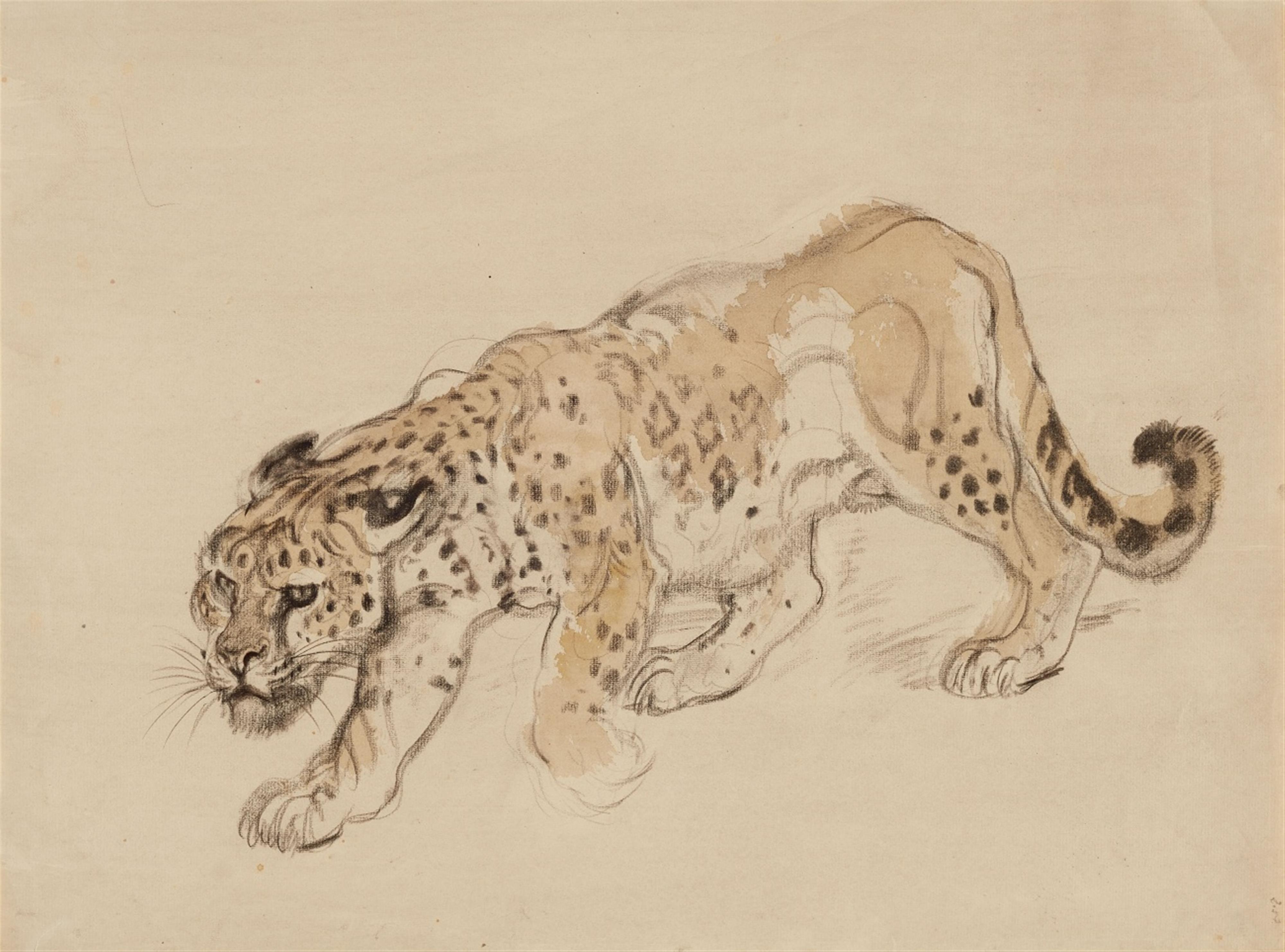 Schleichender Leopard - image-1