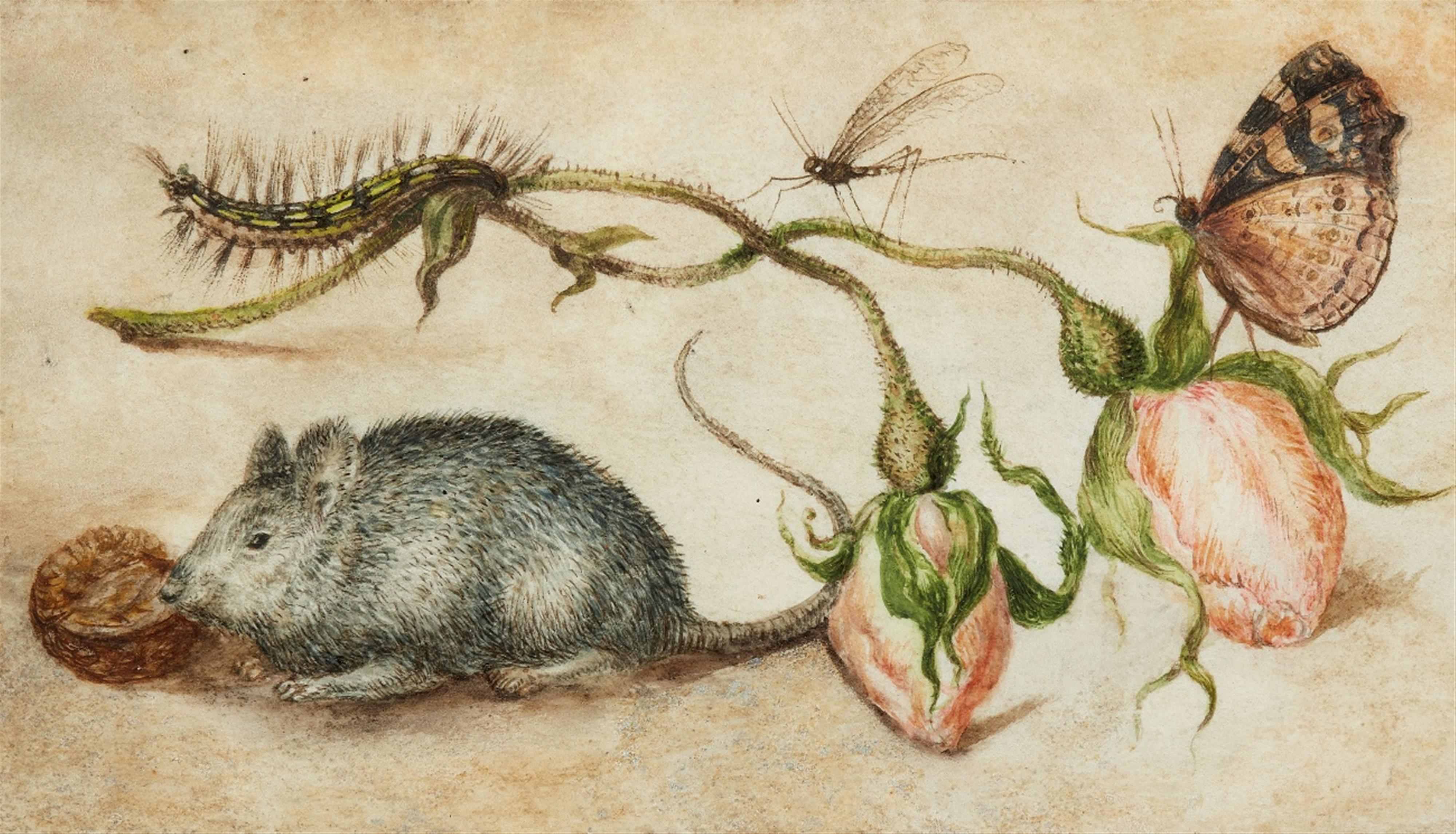 Jan Brueghel the Elder, attributed to - A Mouse, Caterpillar, Dragonfly, Butterfly, and two Rosebuds - image-1