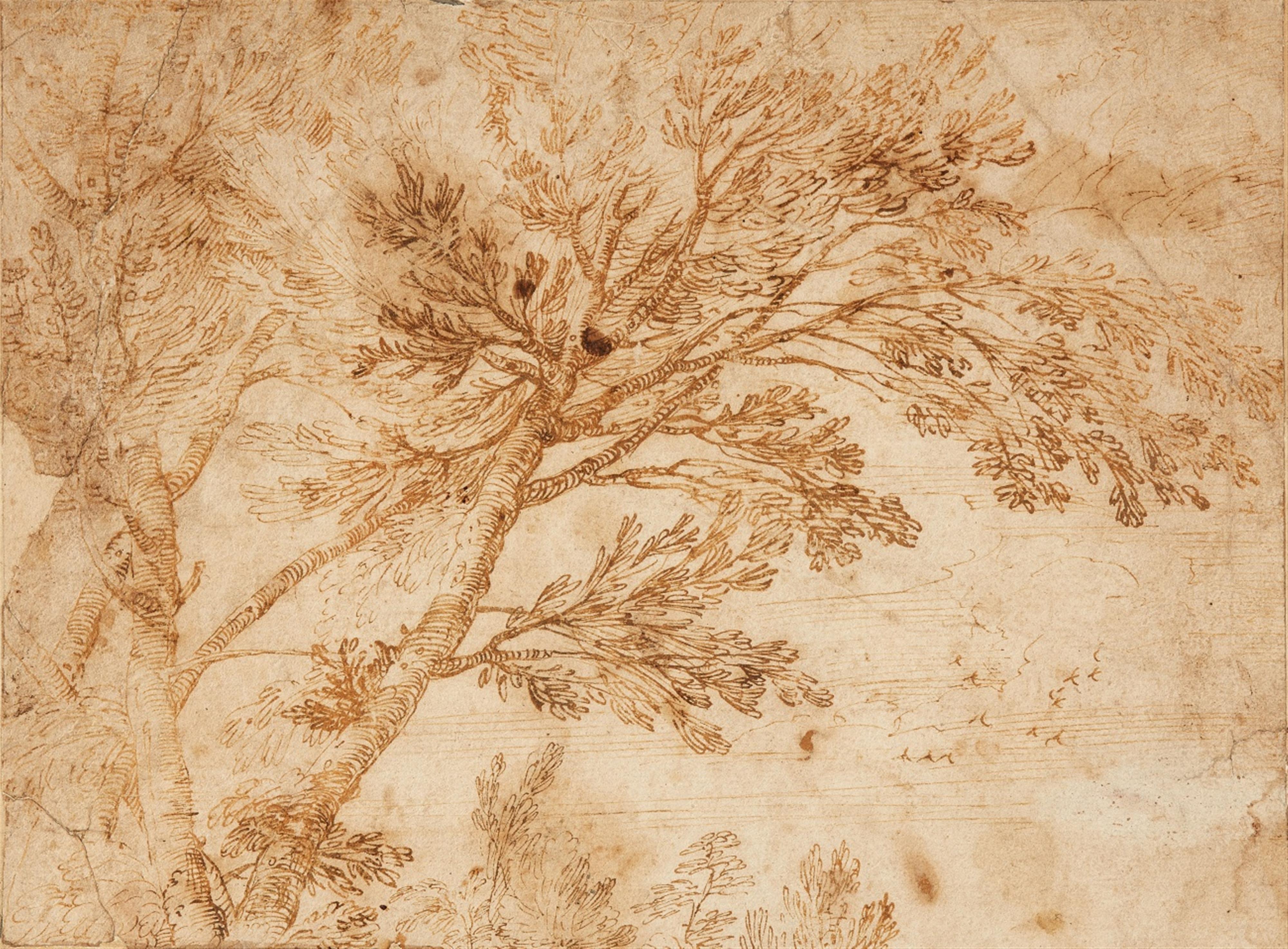 Annibale Carracci - Study of a Tree - image-1