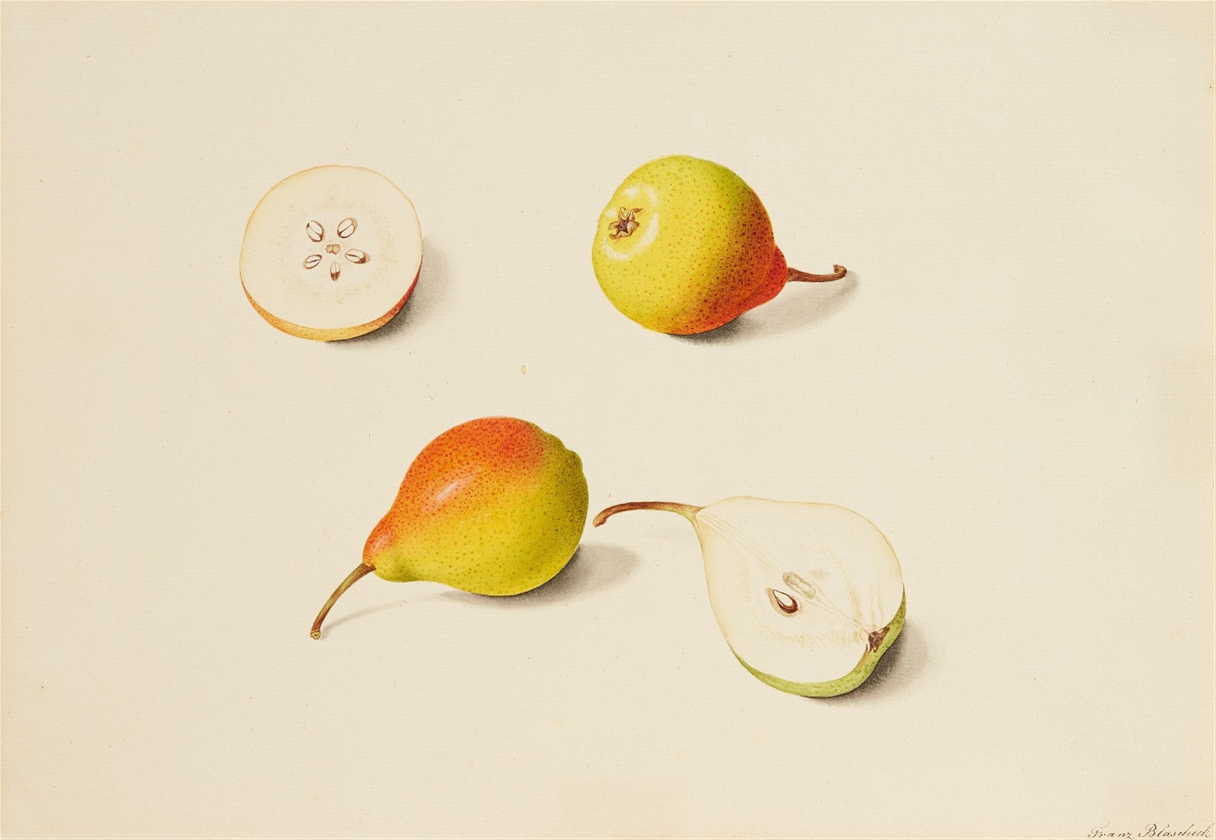 Franz Blascheck - Pears - image-1