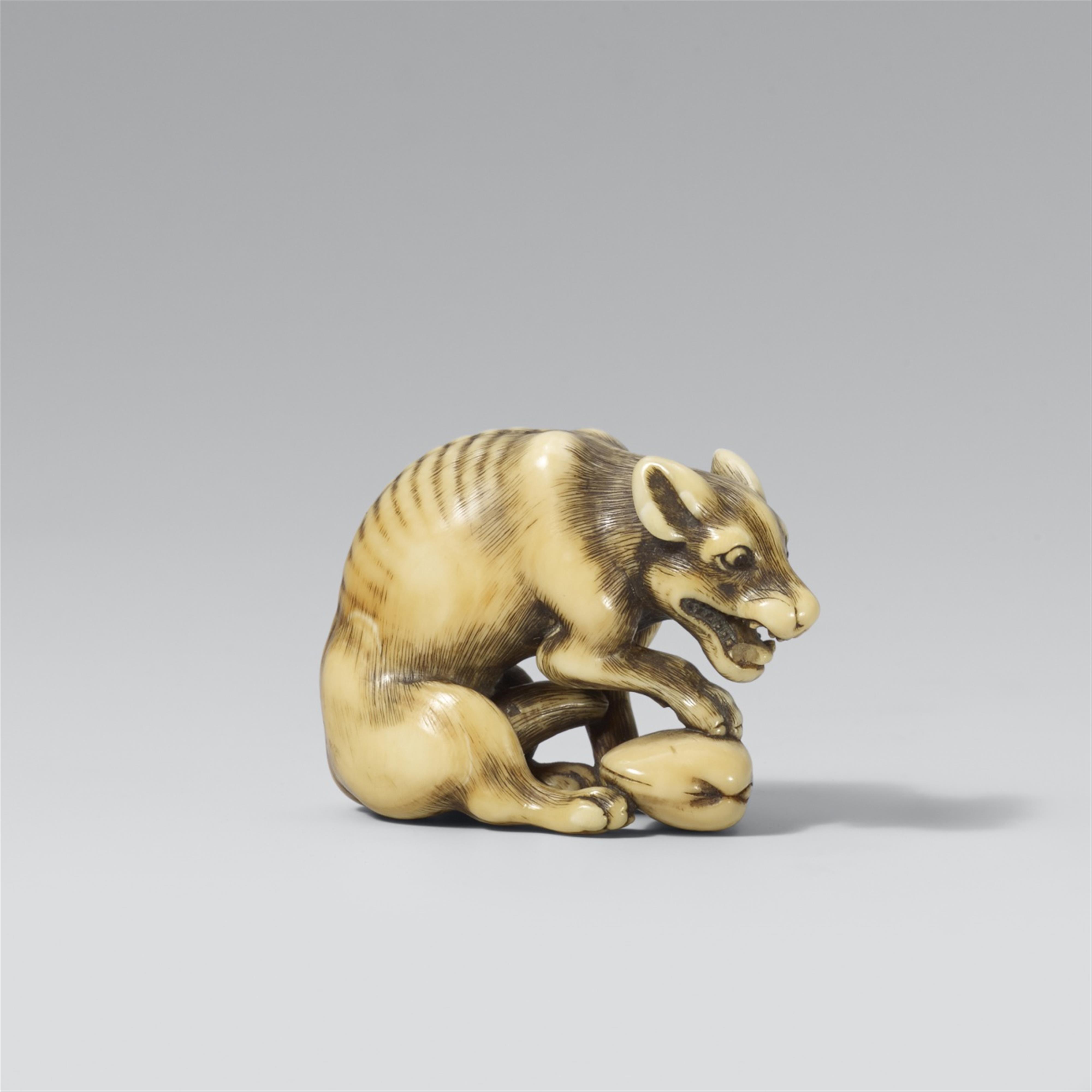 A fine Kyoto school ivory netsuke of a hungry wolf. Late 18th/early 19th century - image-1