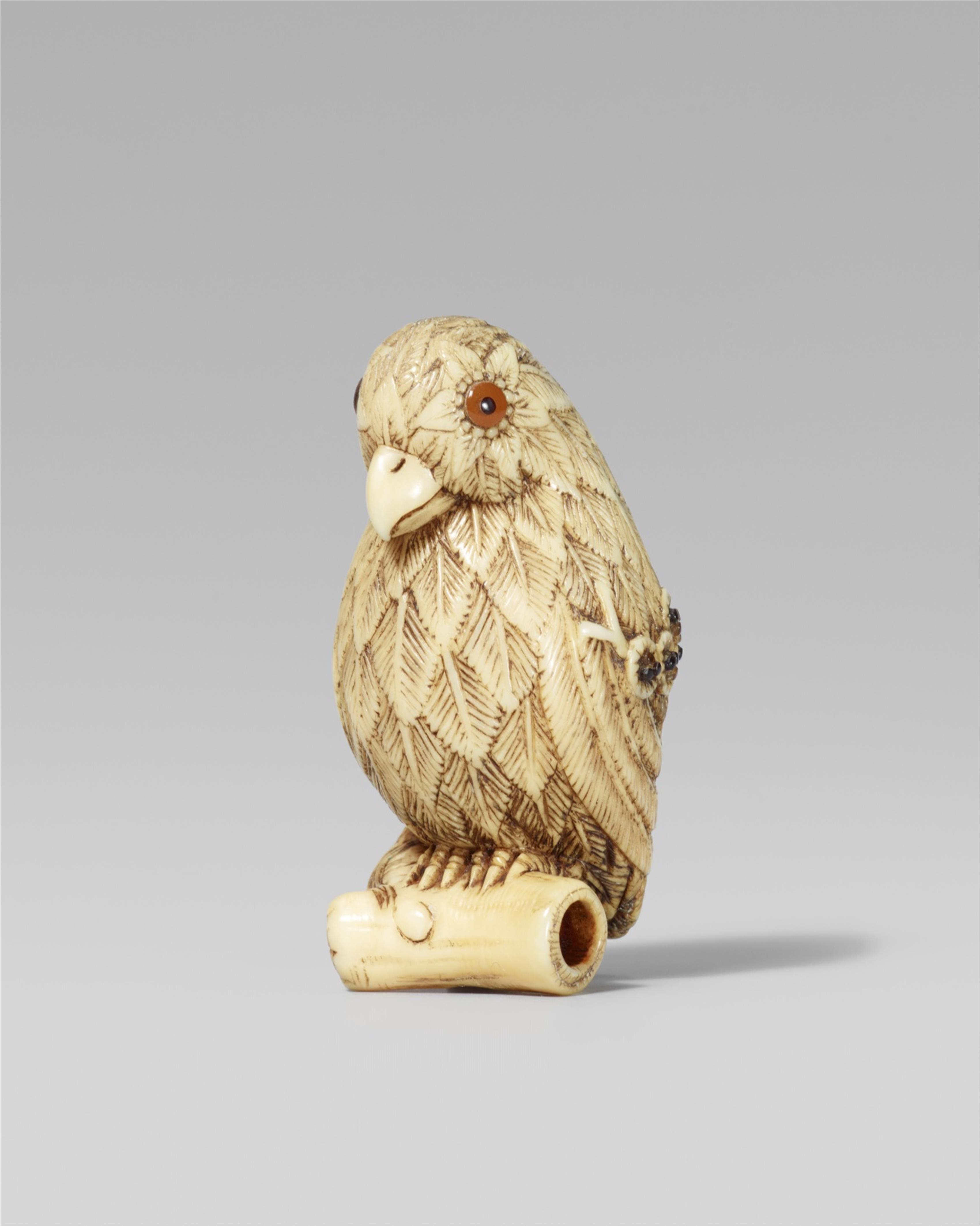An ivory netsuke of a parrot. Mid-19th century - image-1