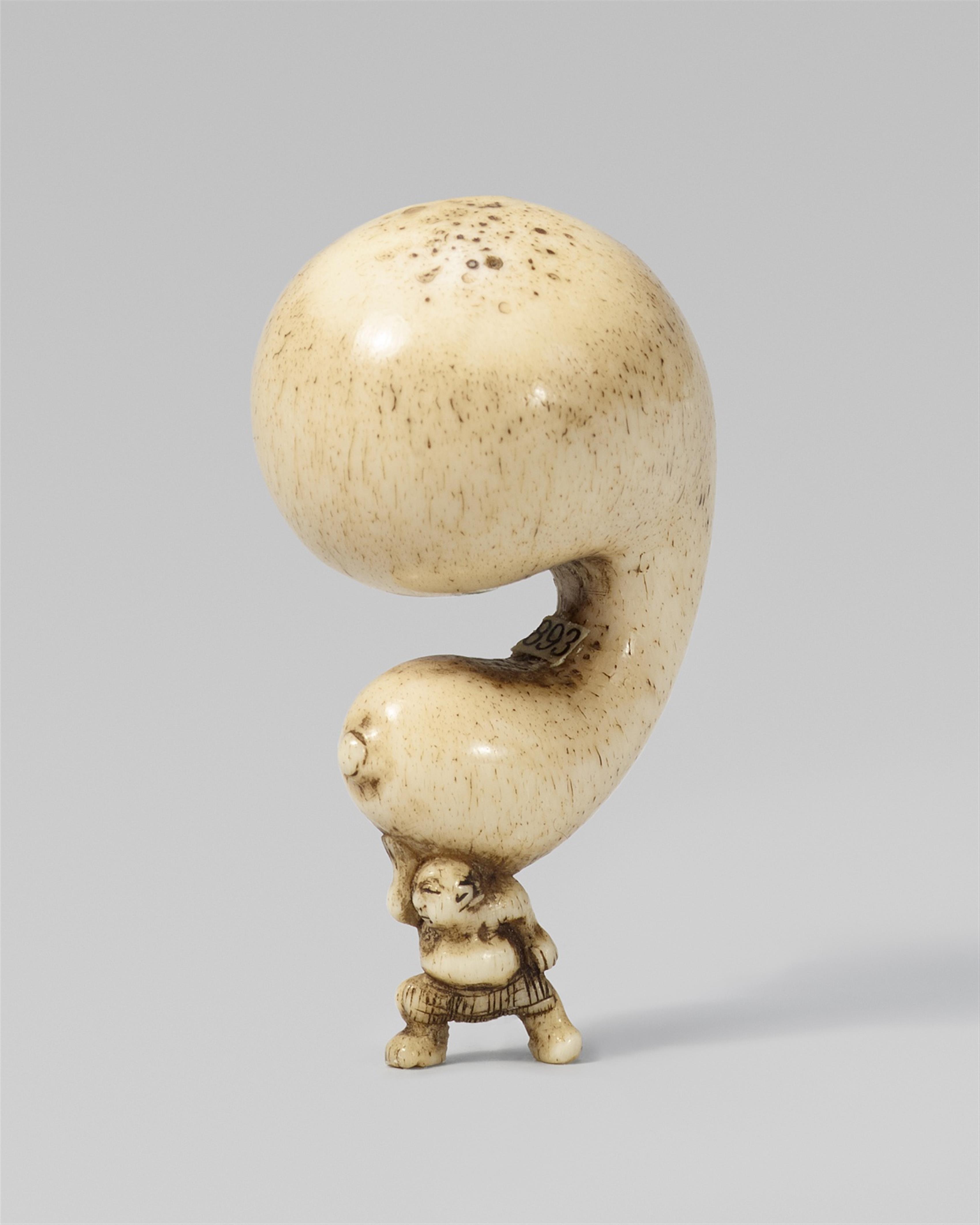 A stag antler netsuke of a sumô wrestler with a huge gourd. 19th century - image-1