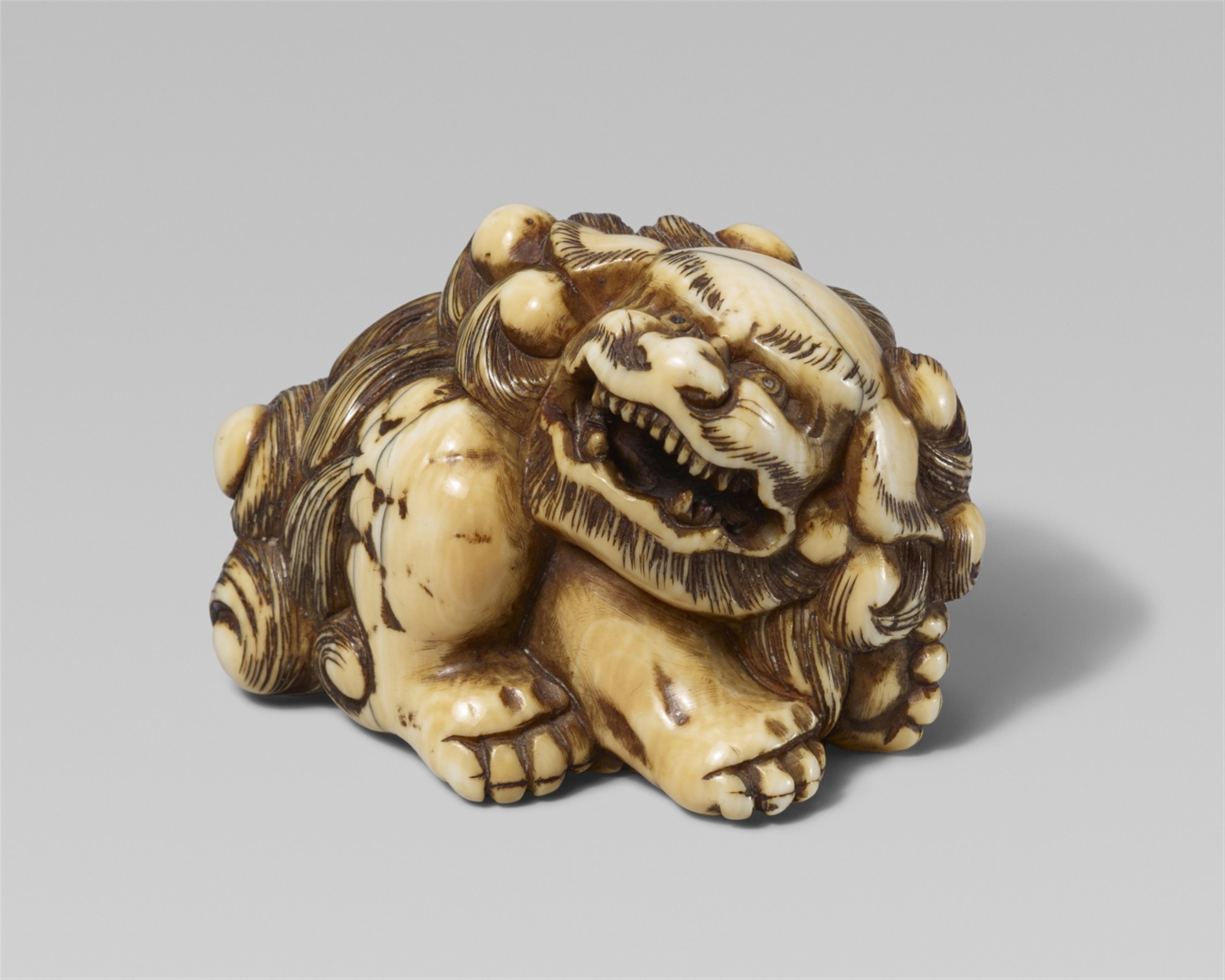 An ivory netsuke of a mighty shishi. Late 18th/early 19th century - image-1