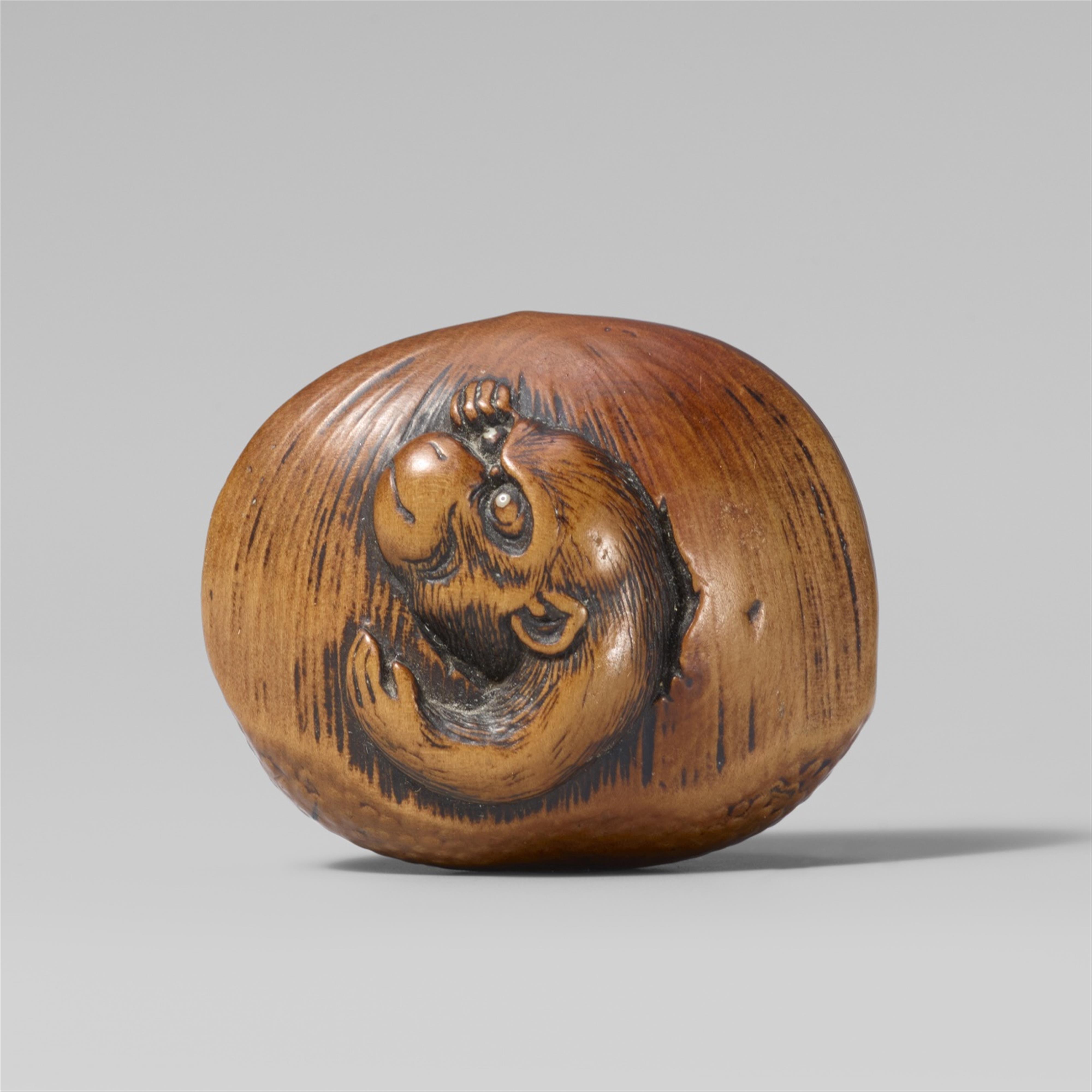 A large boxwood netsuke of a monkey in a chestnut. First half 19th century - image-1