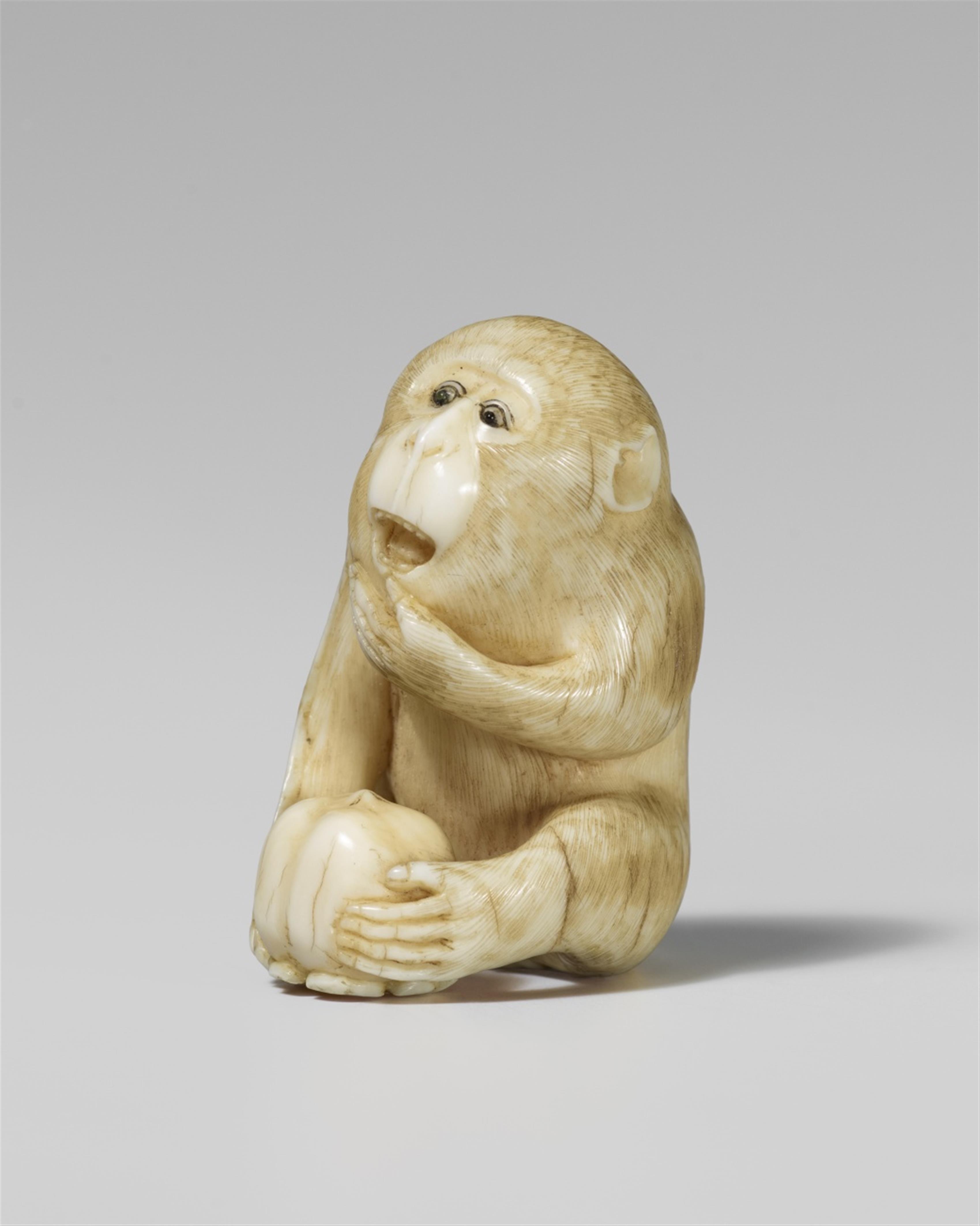 An Osaka school ivory netsuke of a monkey, by Masatami. Second half 19th century - image-1