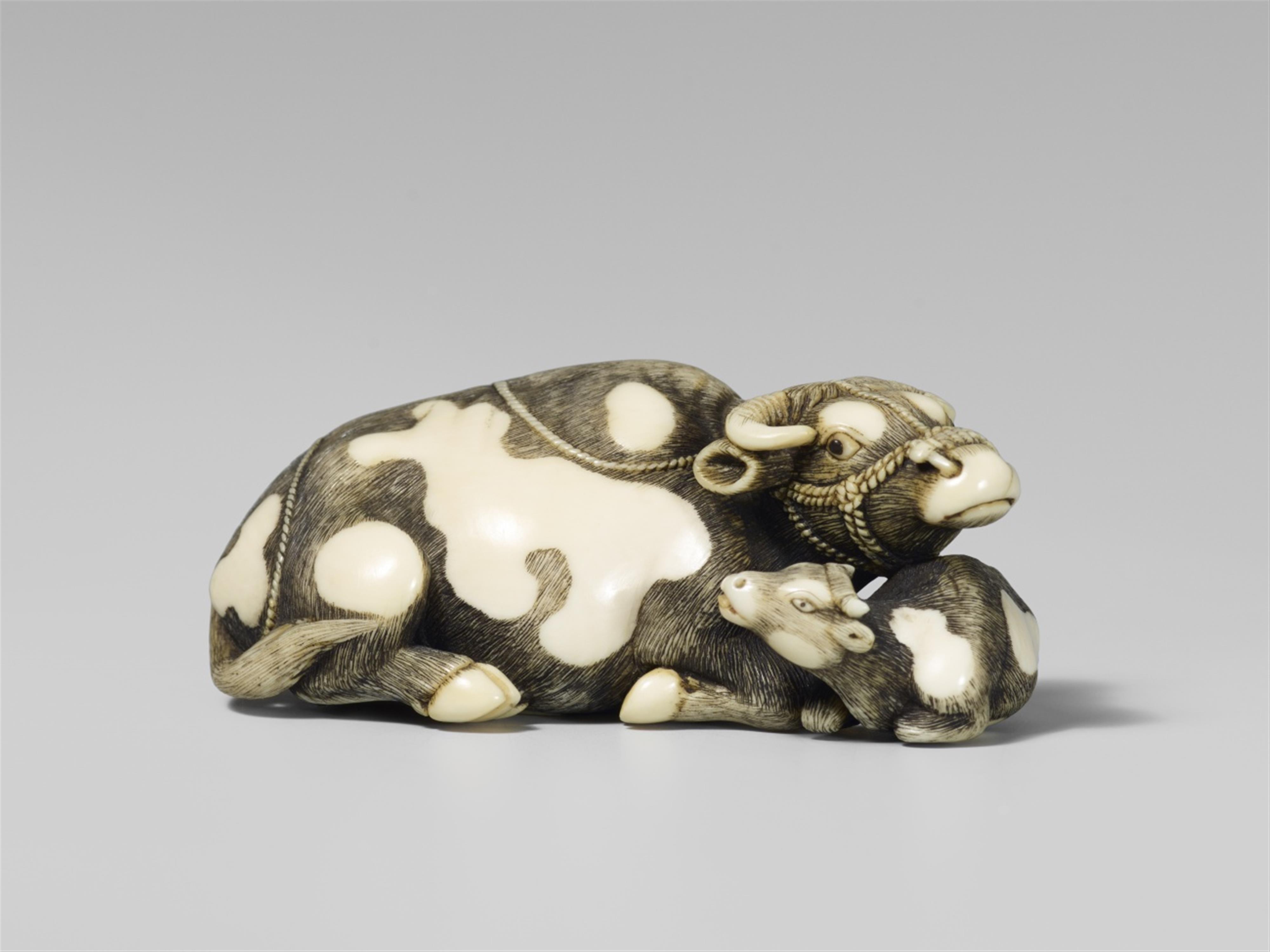 A good Tomotada-style ivory netsuke of a recumbent cow with calf. Early 19th century - image-1