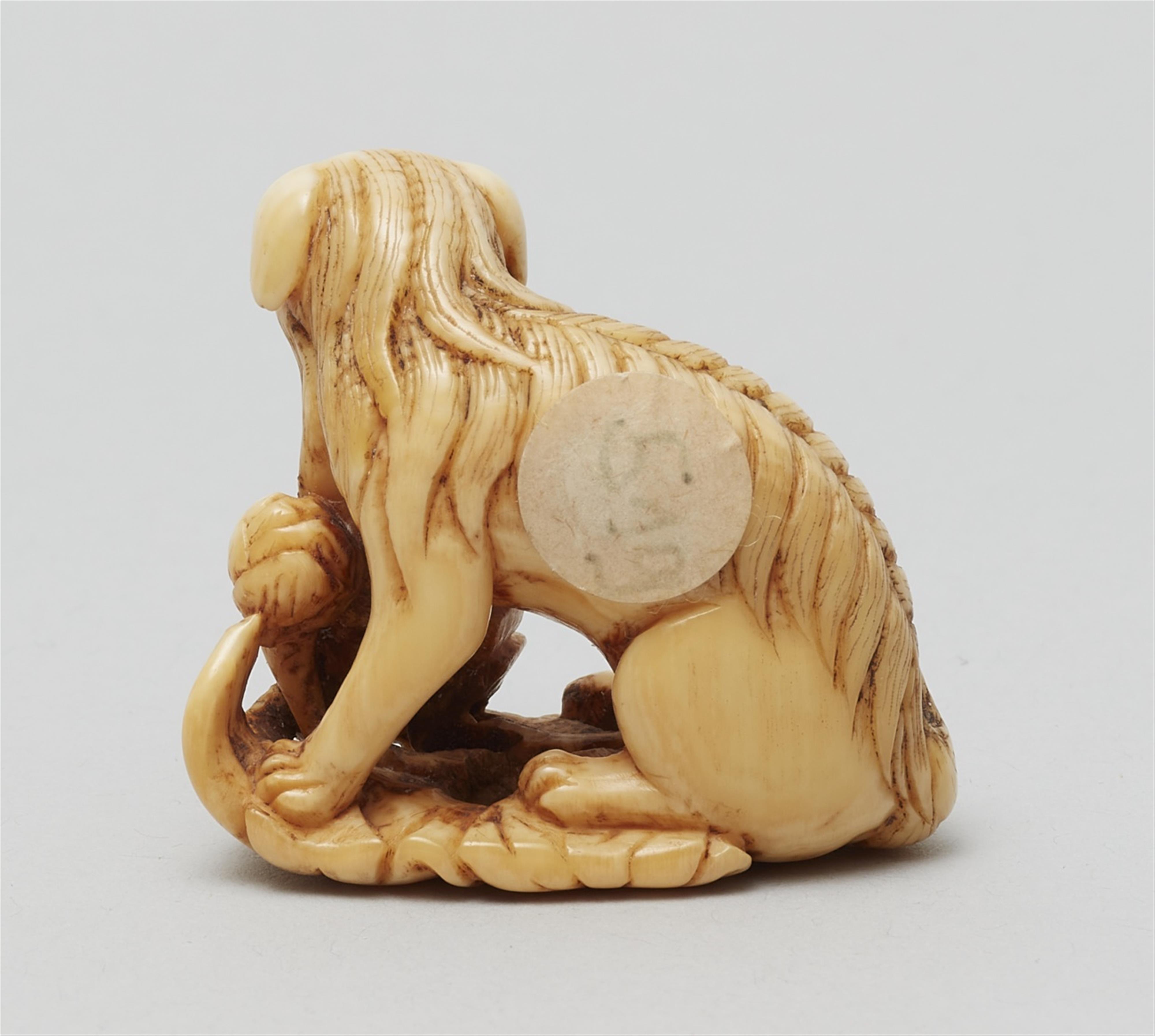 An ivory netsuke of a long-haired dog. Early 19th century - image-2