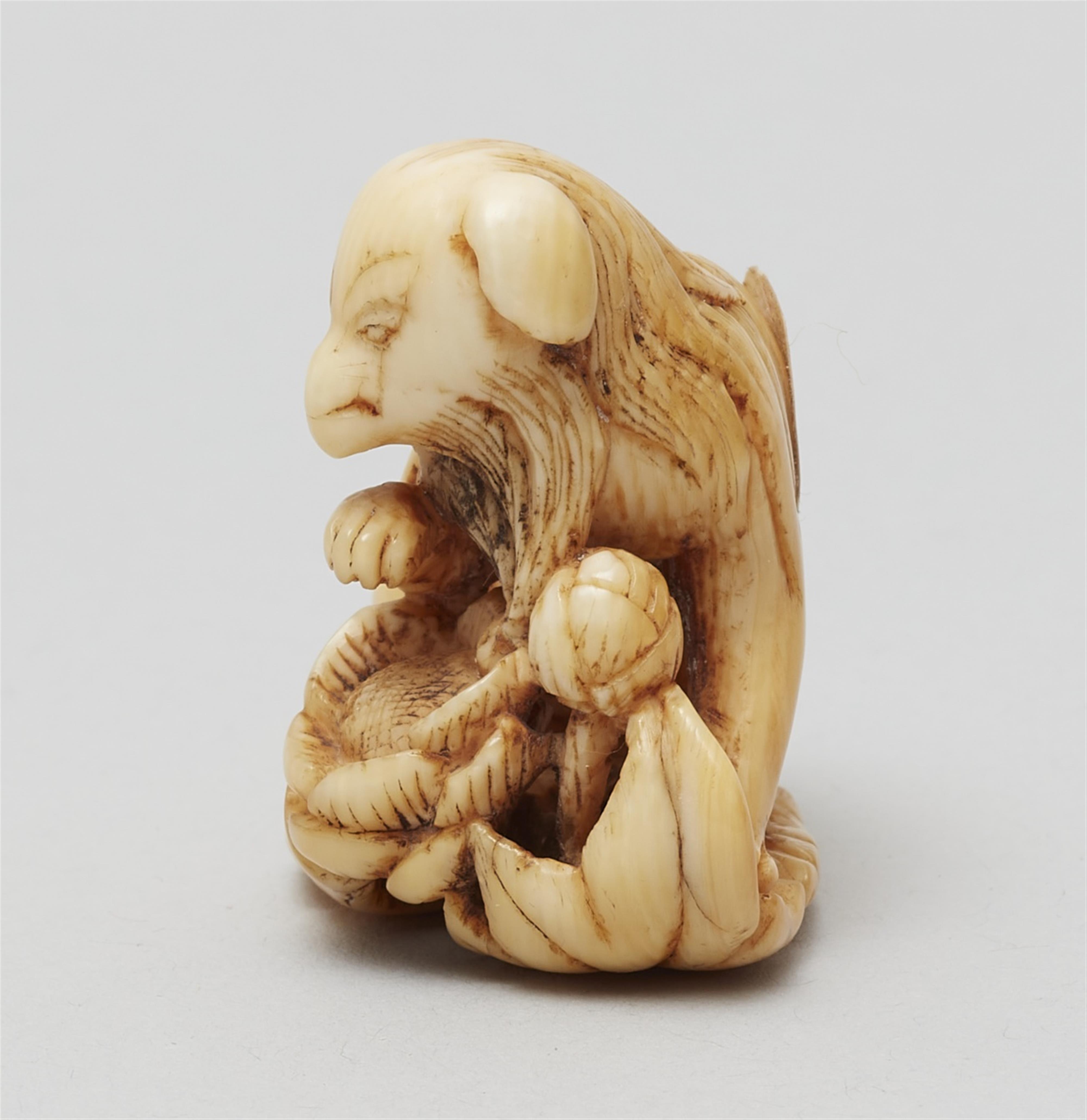 An ivory netsuke of a long-haired dog. Early 19th century - image-3