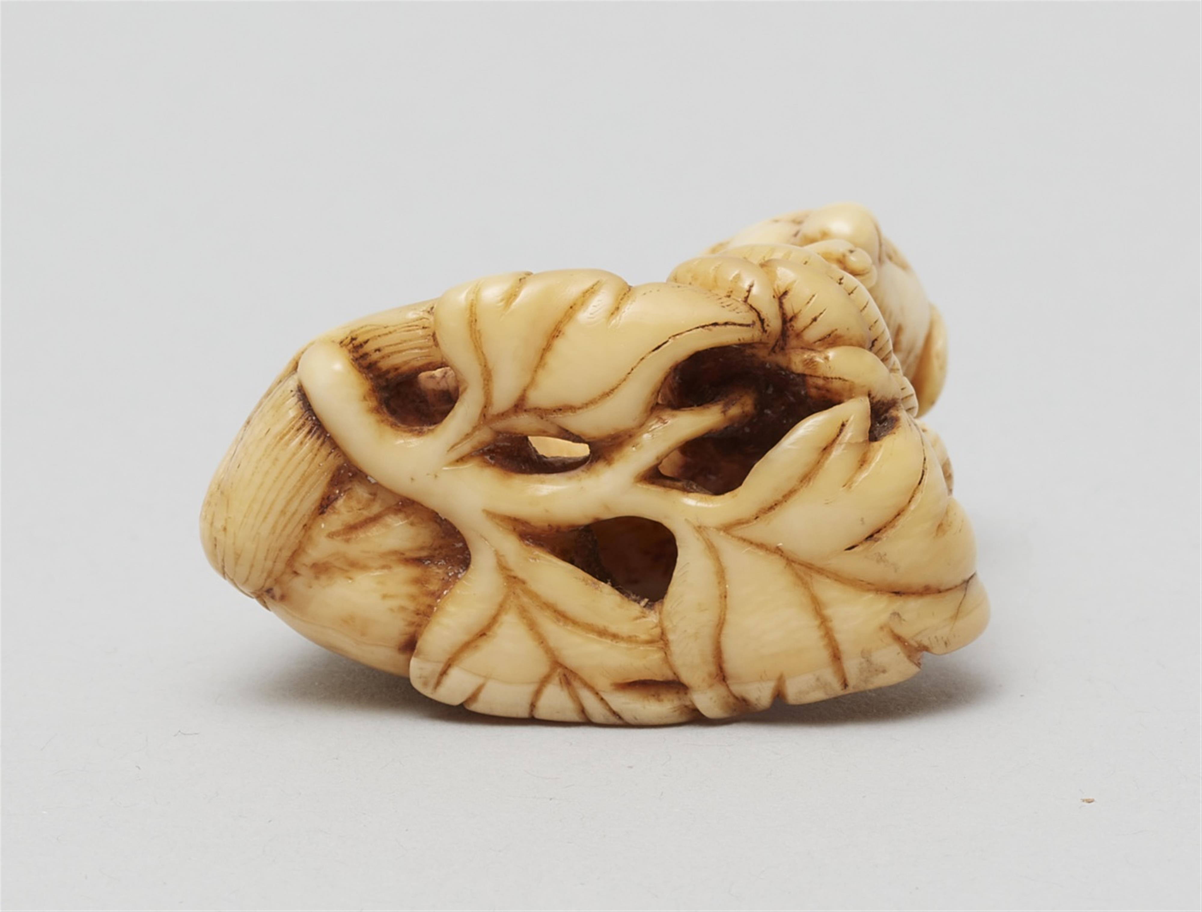 An ivory netsuke of a long-haired dog. Early 19th century - image-5