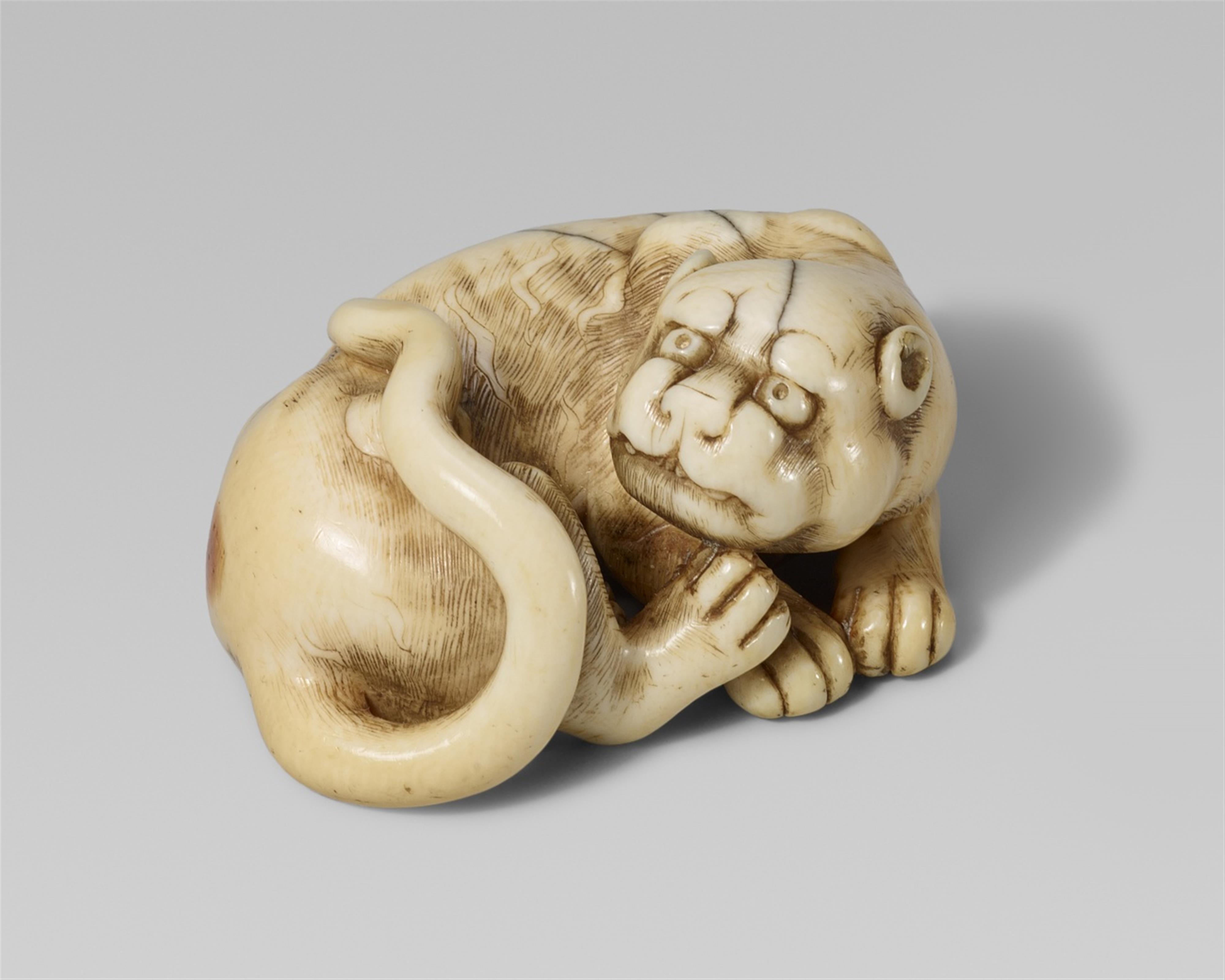A good ivory netsuke of a reclining tiger. Early 19th century - image-1
