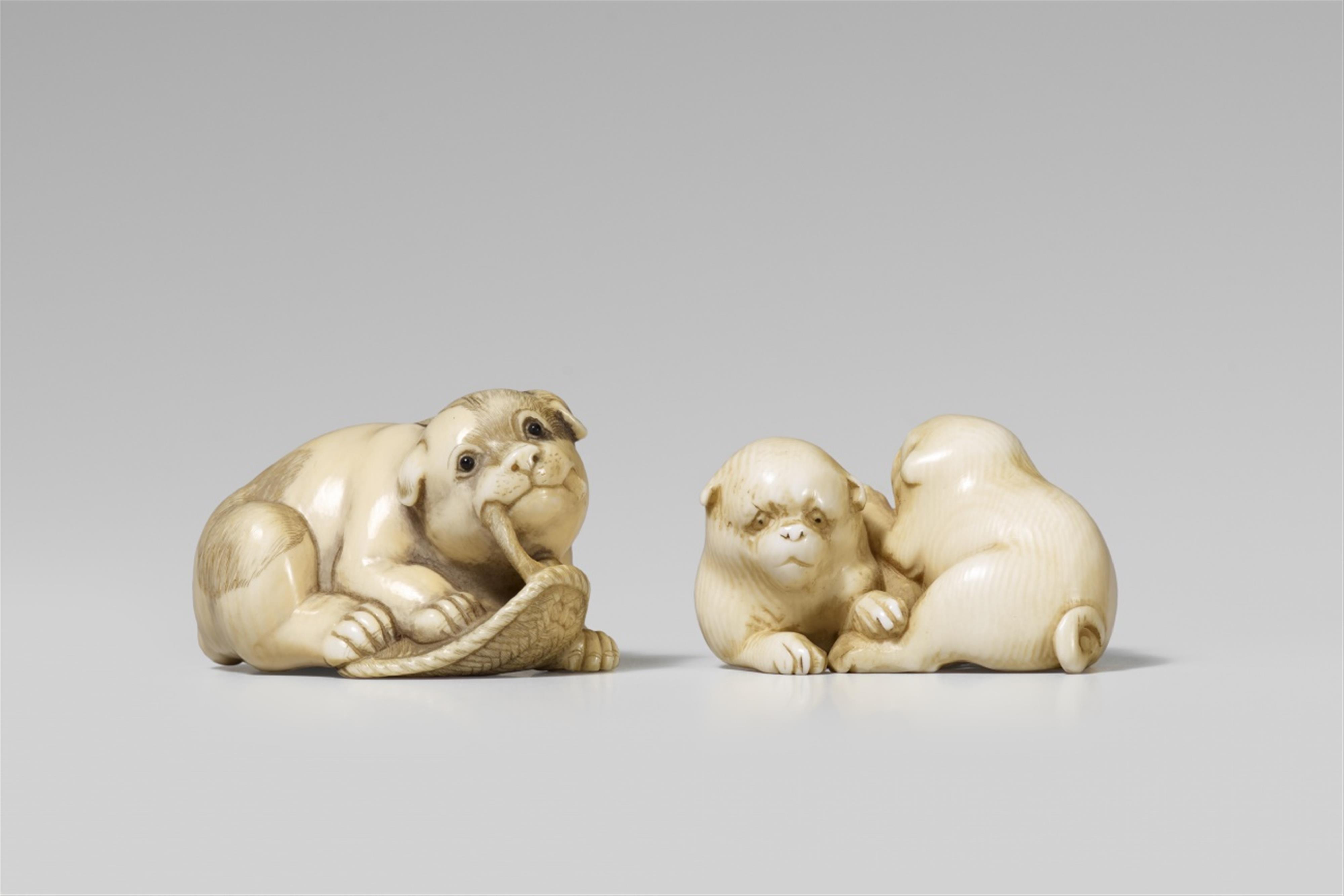 Two ivory netsuke of dogs. 19th/20th century - image-1