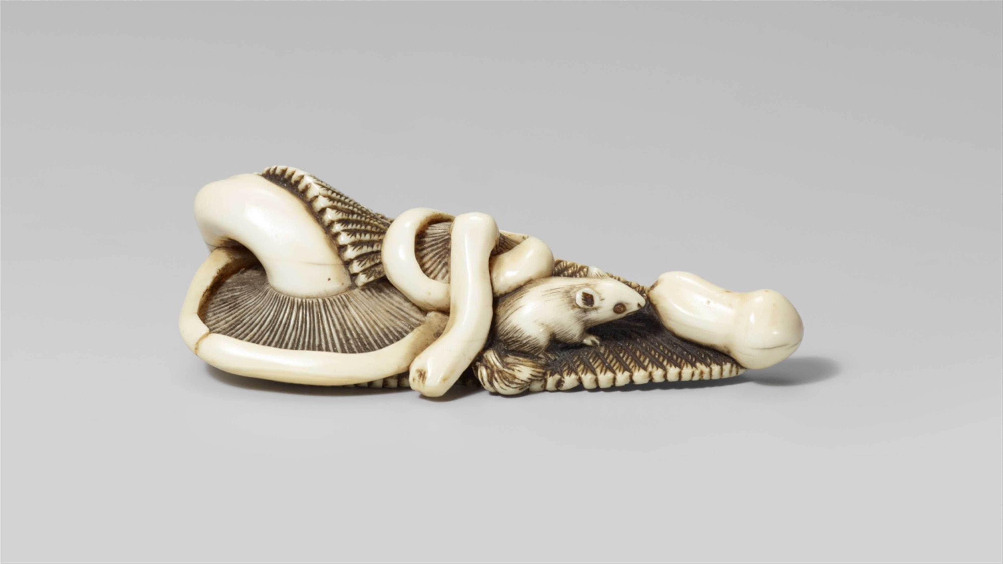 An attractive ivory netsuke of a squirrel on ferns. Early 19th century - image-1
