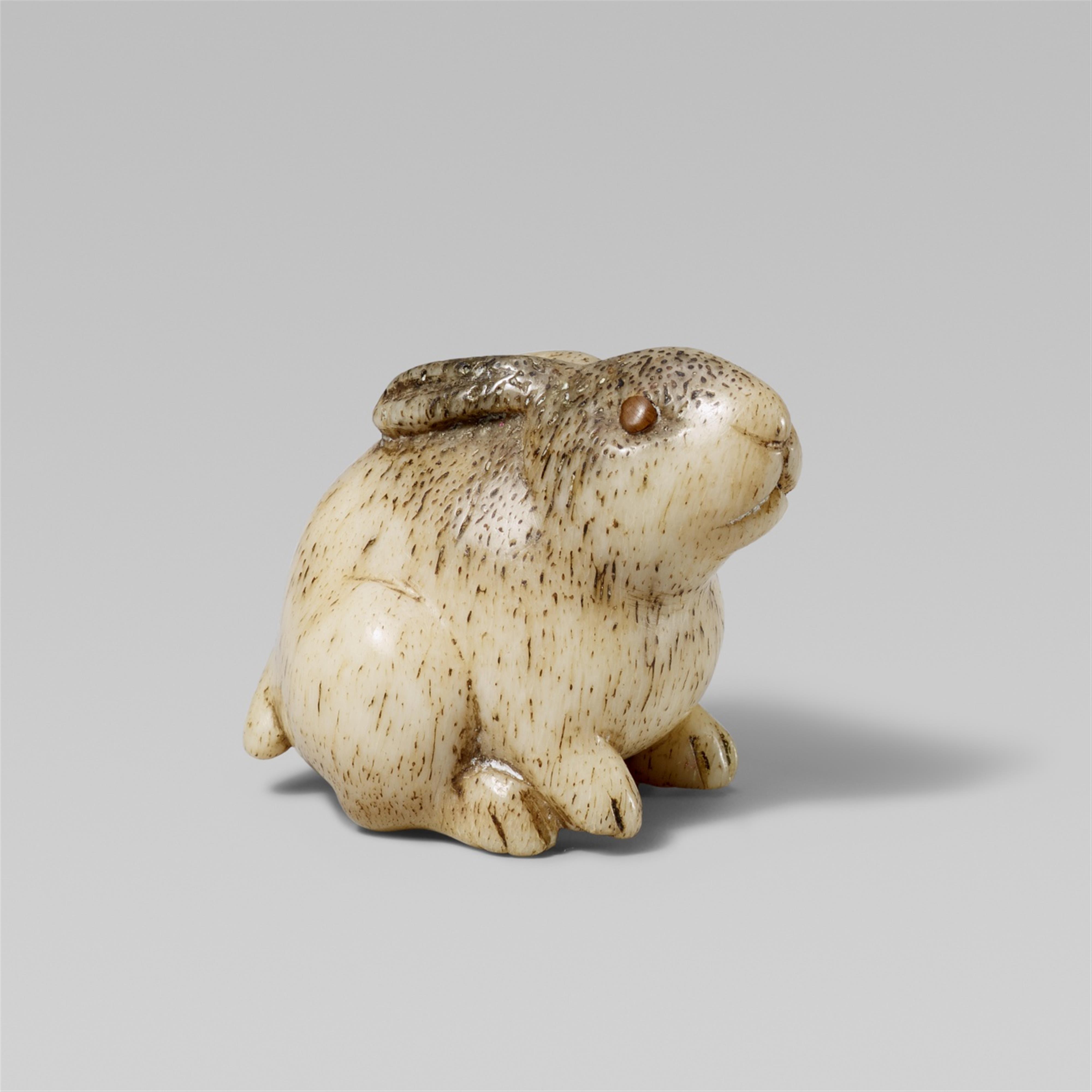 An unusual bone netsuke of a chubby rabbit. 19th century - image-1