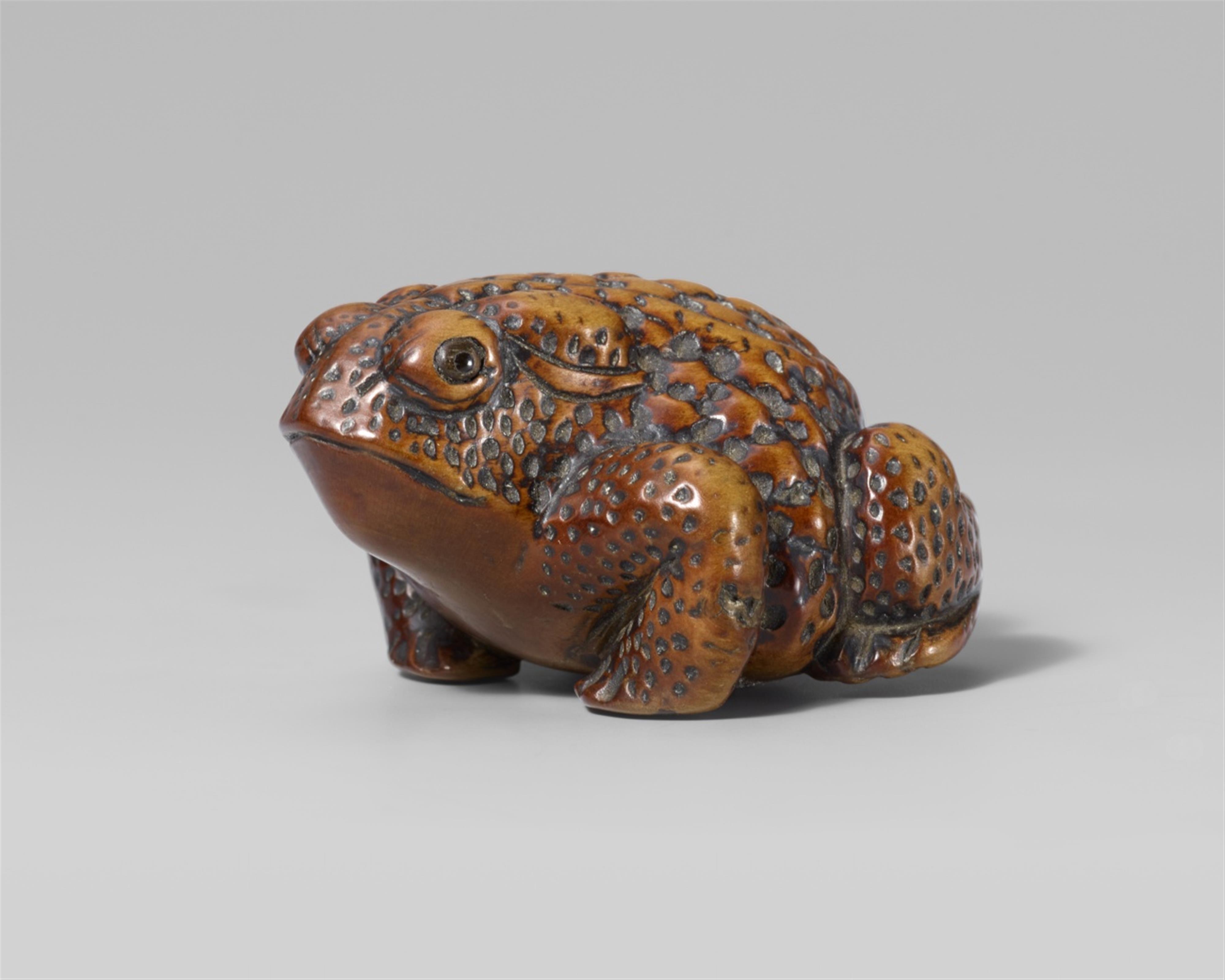 A boxwood netsuke of a toad. Mid-19th century - image-1