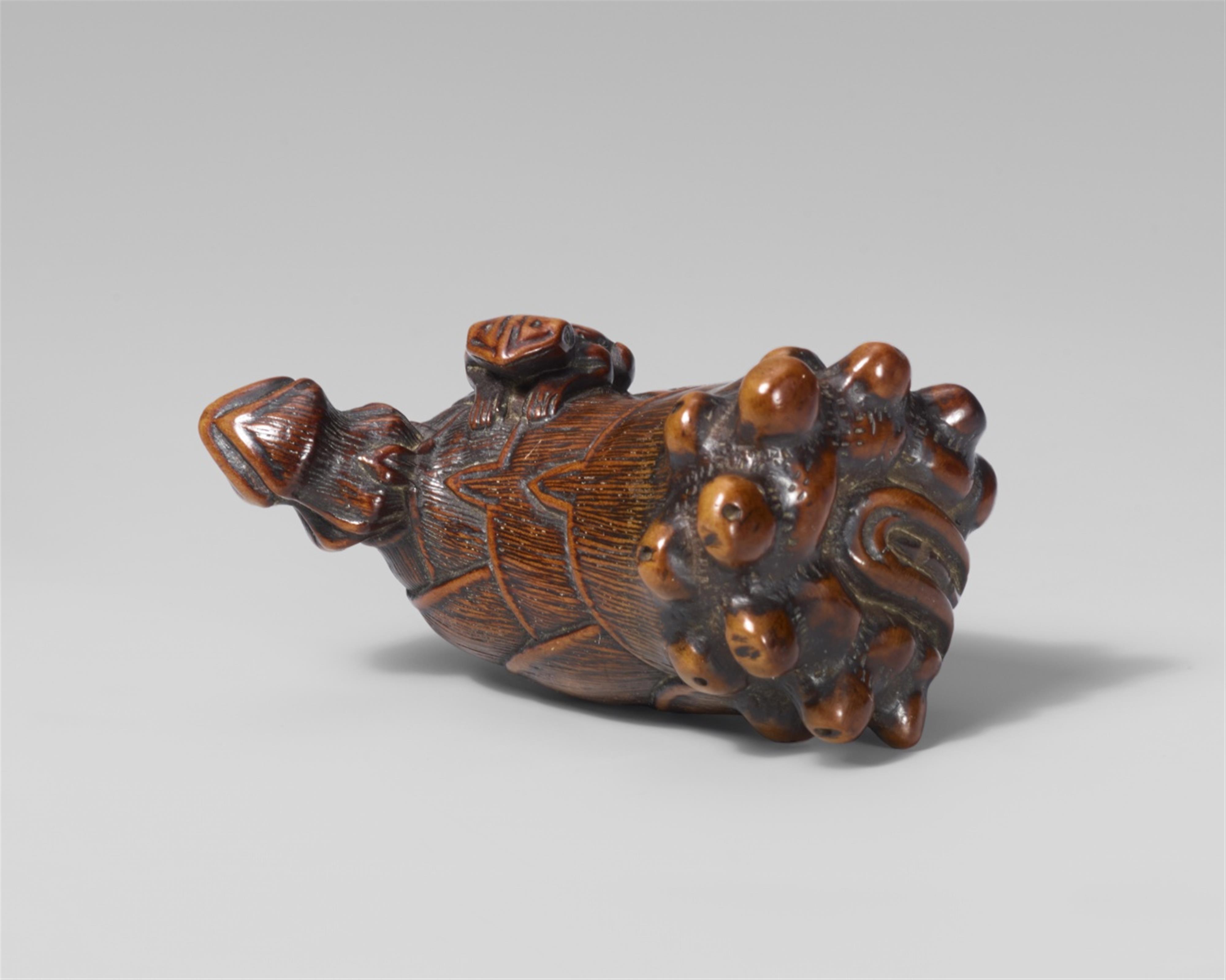 A large and unusual boxwood netsuke of a frog on a bamboo shoot. 19th century - image-1