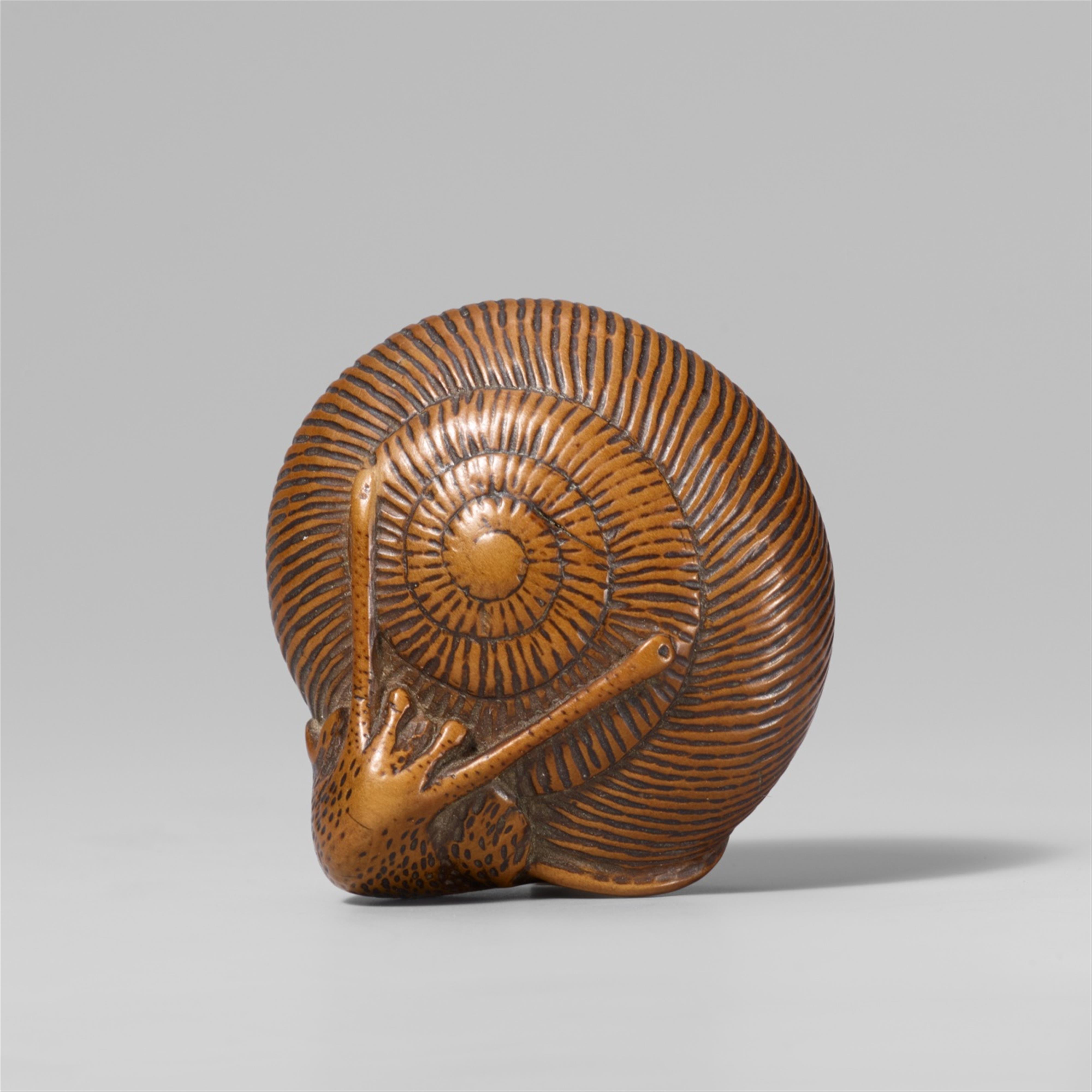 A good and large boxwood netsuke of a snail. 19th century - image-1
