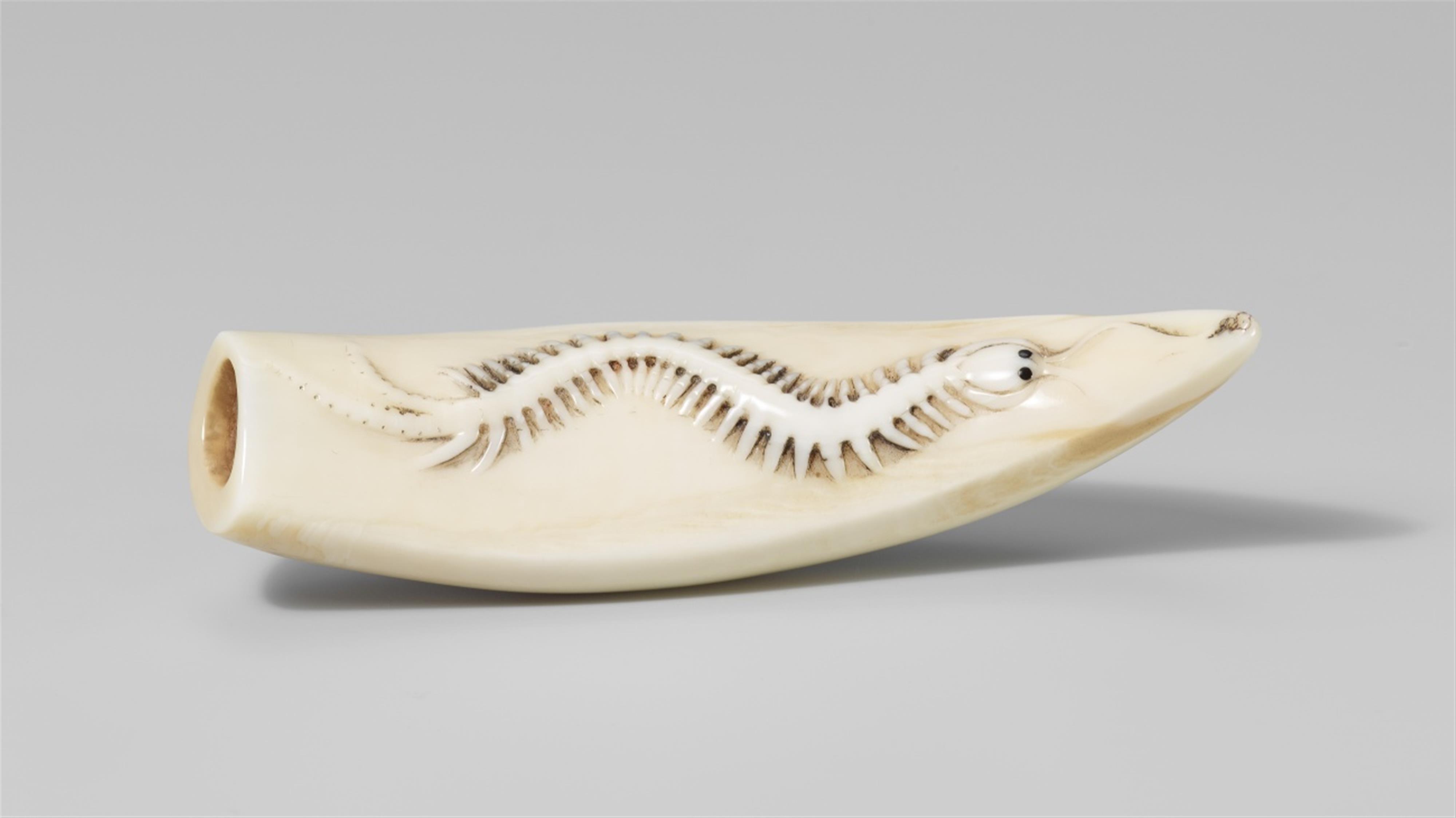 A highly polished tusk netsuke with a centipede. 19th/20th century - image-1