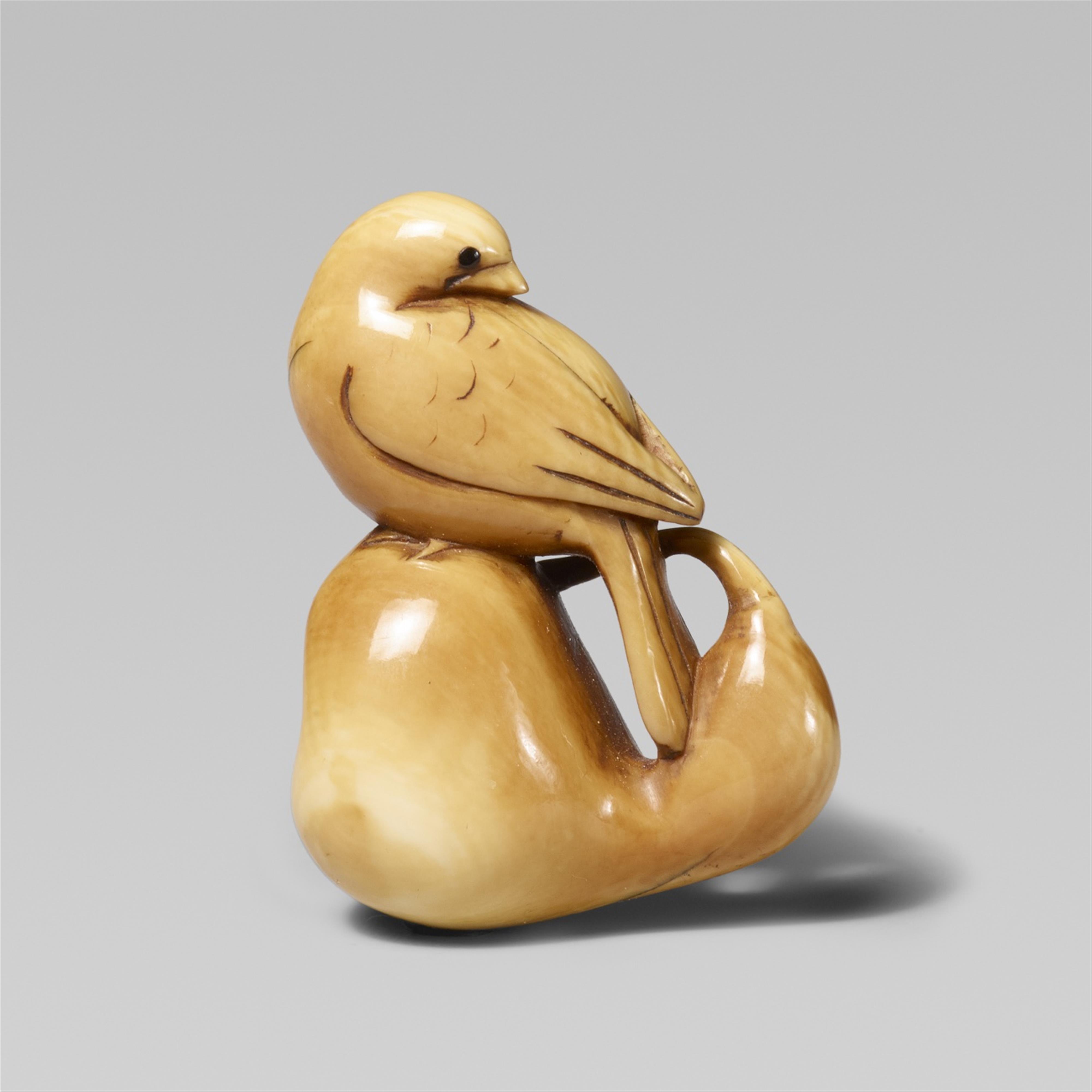A rare stained ivory netsuke of a long-tailed bird, by Ashitomo. First half 19th century - image-1