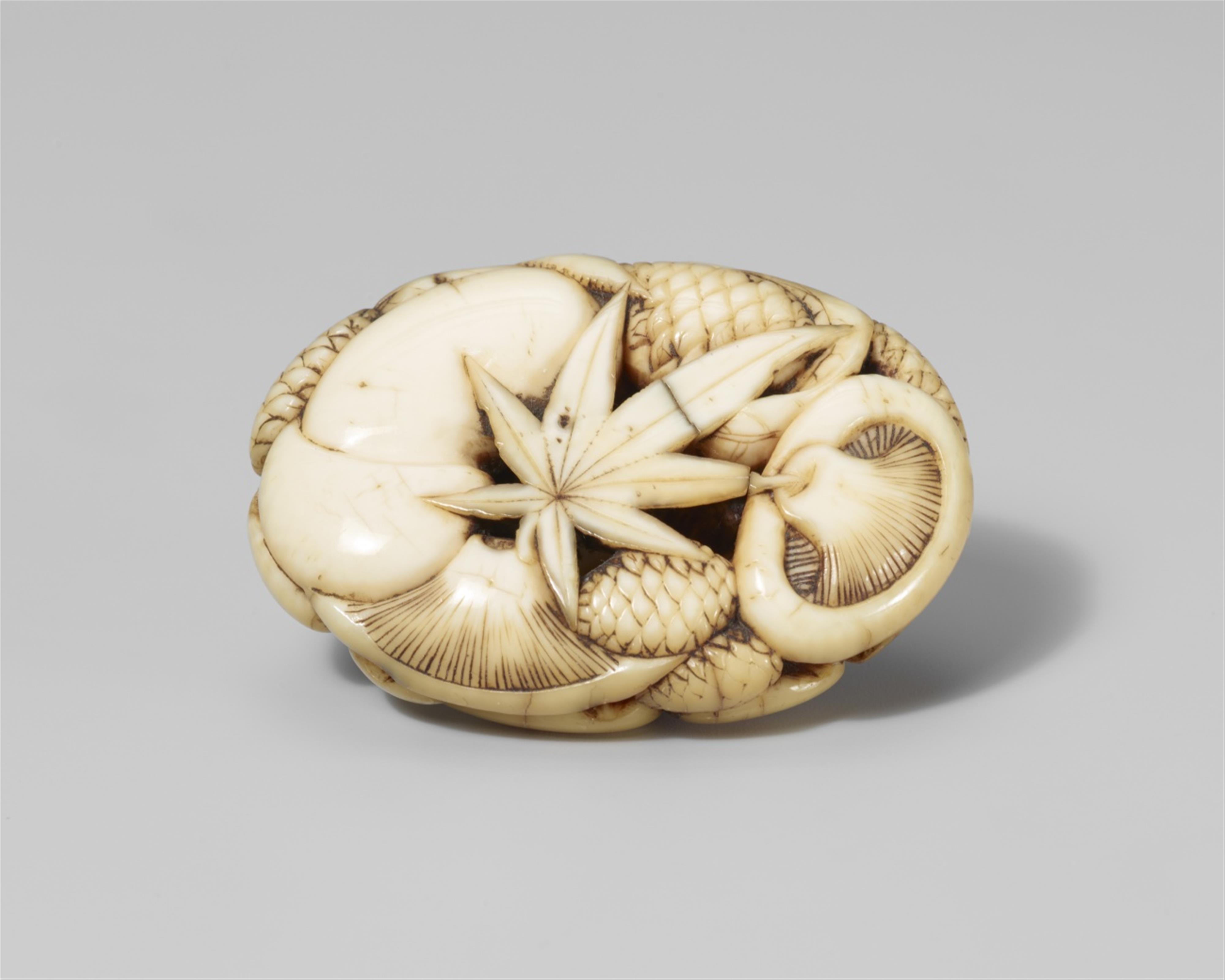 A flat oval ivory ryûsa manjû of mushrooms, pine cones and leaves. Mid-19th century - image-1