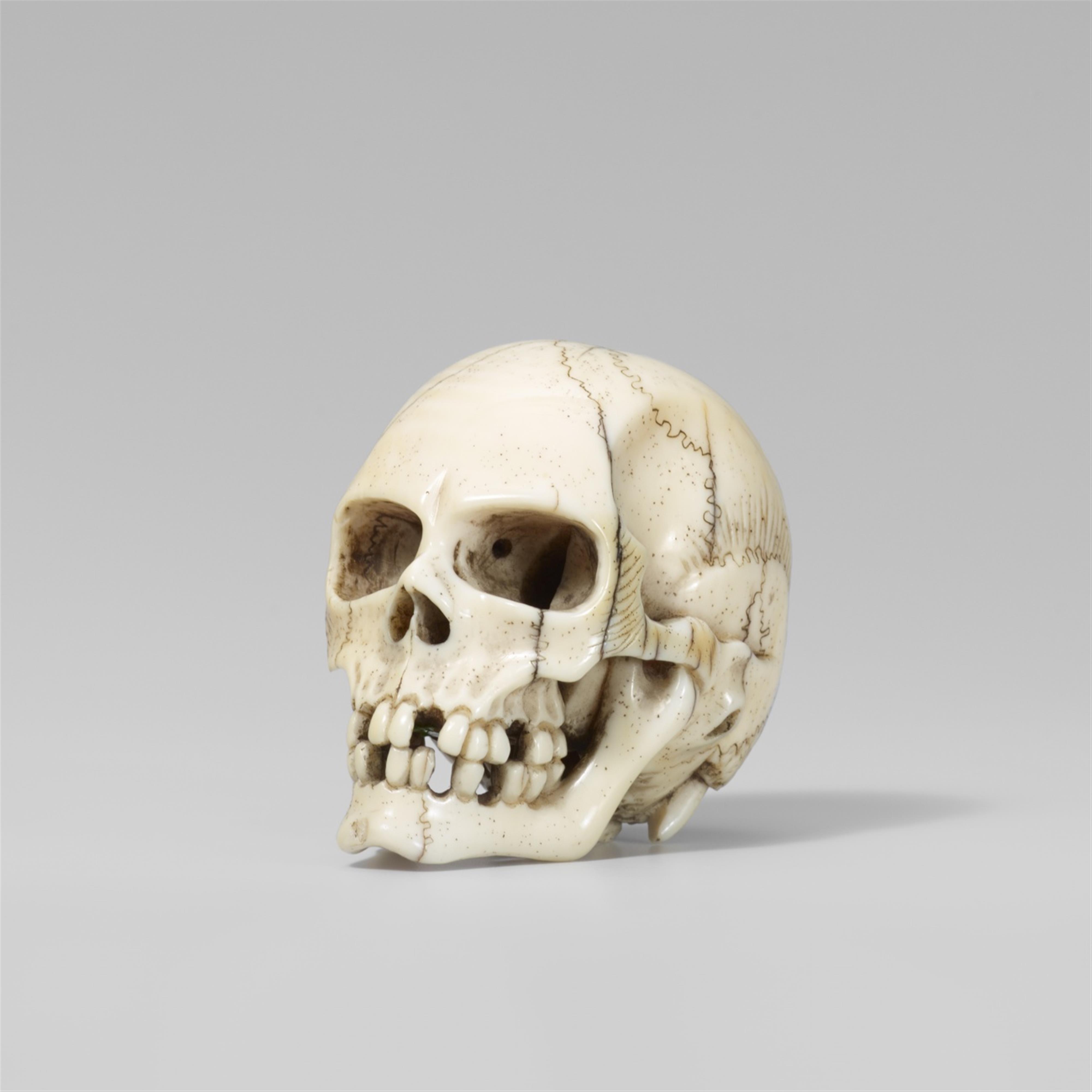 A fine and realistic ivory model of a skull. Late 19th century - image-1