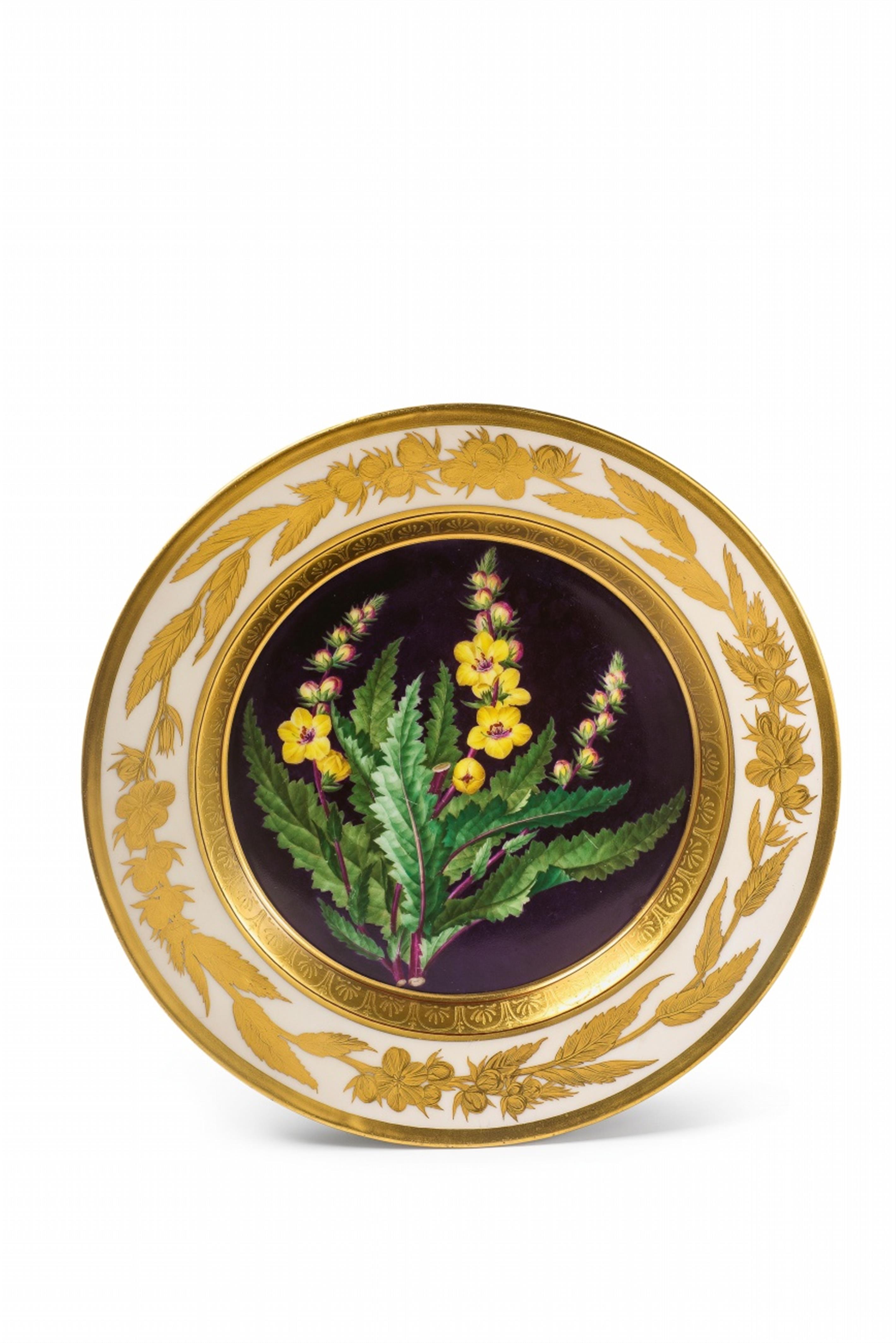 A Berlin KPM porcelain plate with botanical decor - image-1