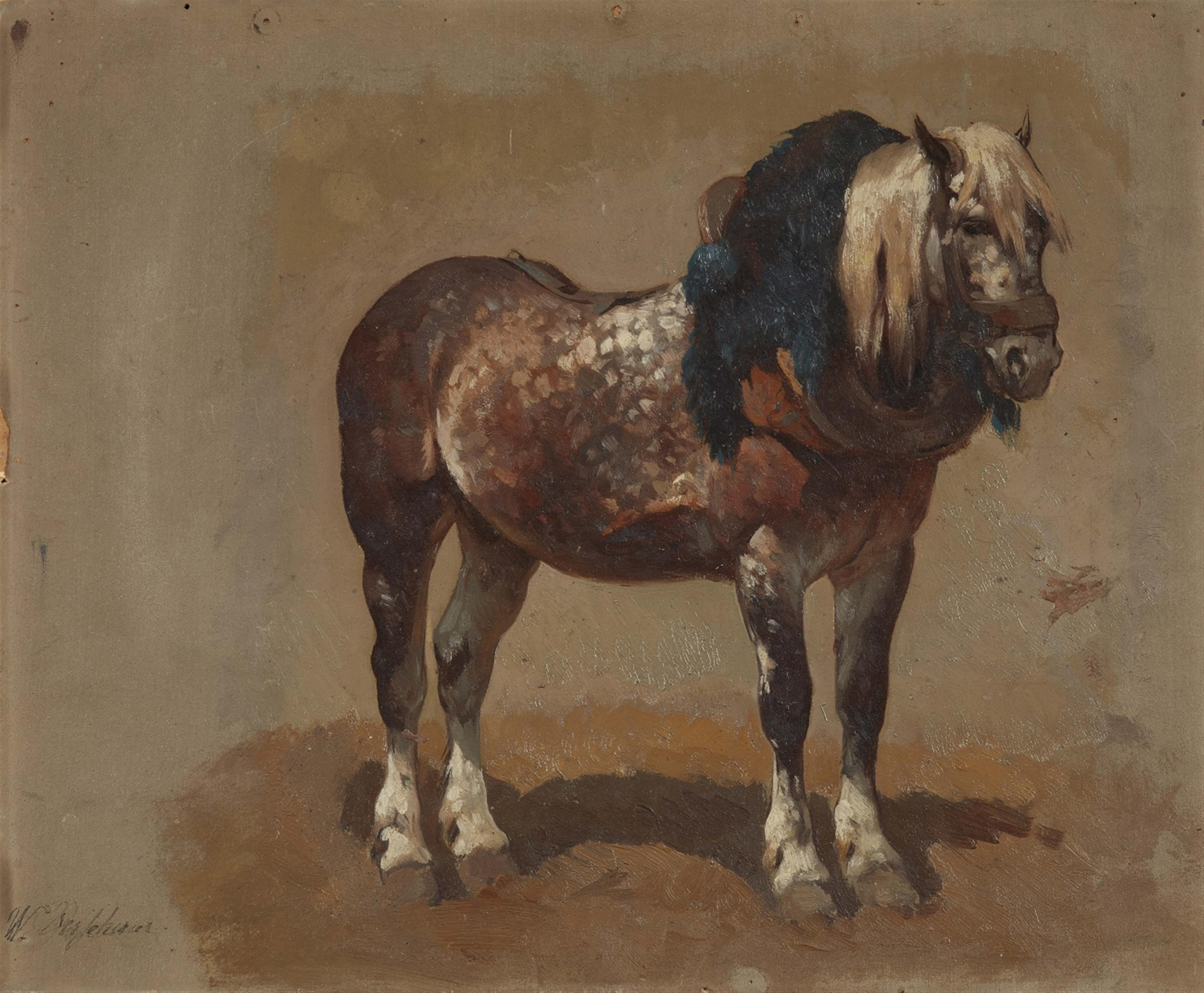 Wouter Verschuur - Study of a Horse - image-1