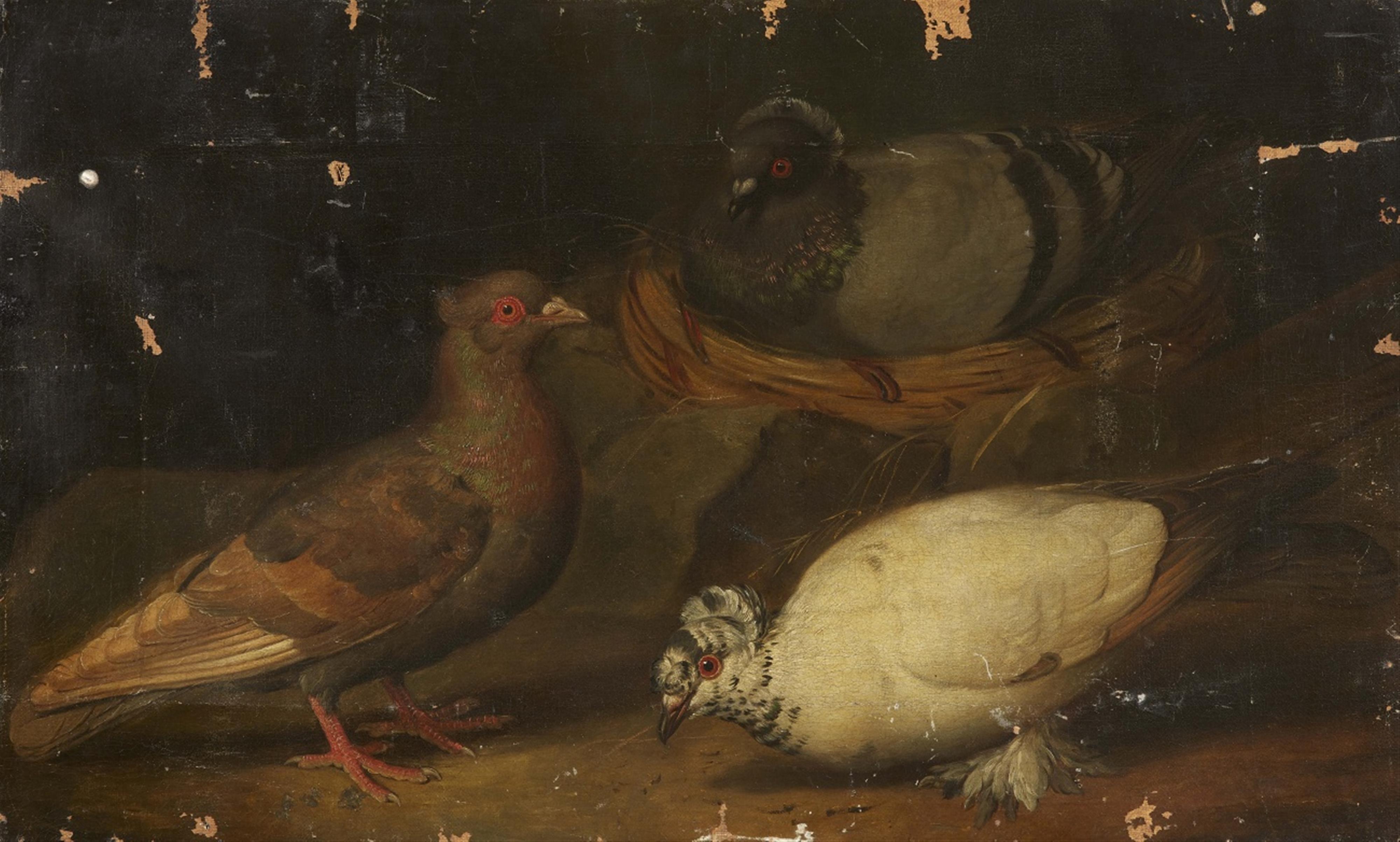 Jakob Samuel Beck, attributed to - Three Doves - image-1
