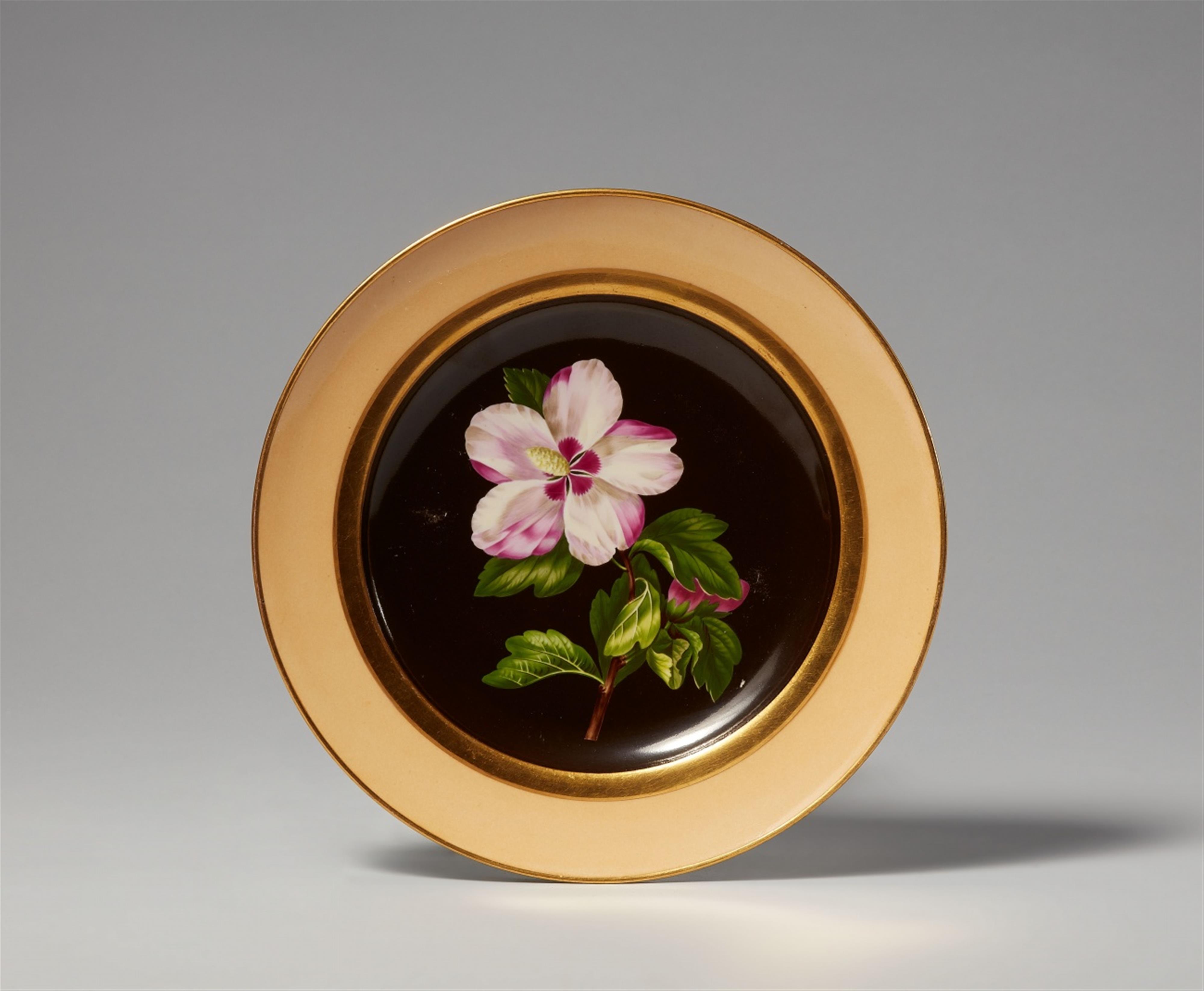 A Vienna porcelain plate with botanical decor - image-1
