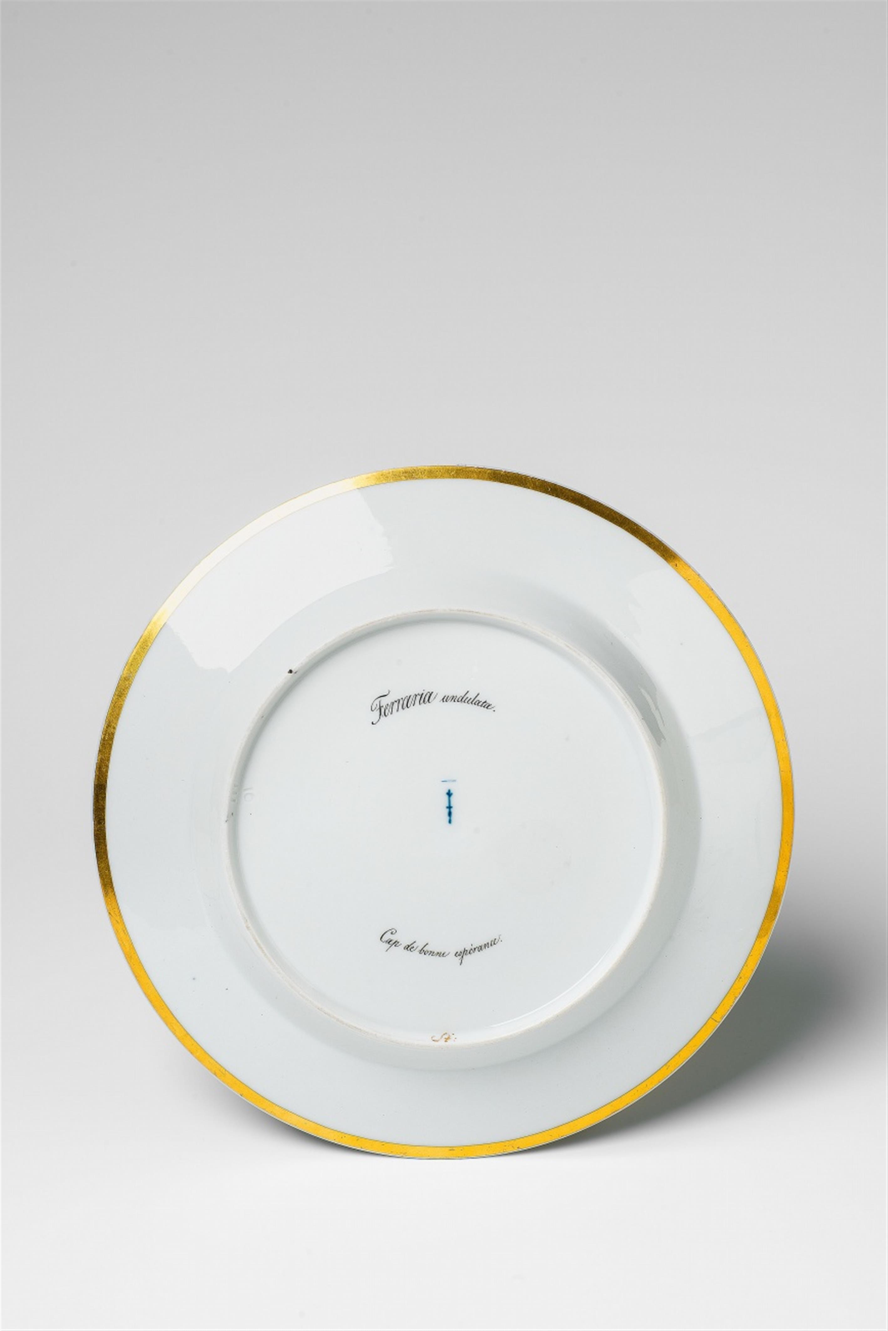 A Berlin KPM porcelain plate with botanical decor - image-2