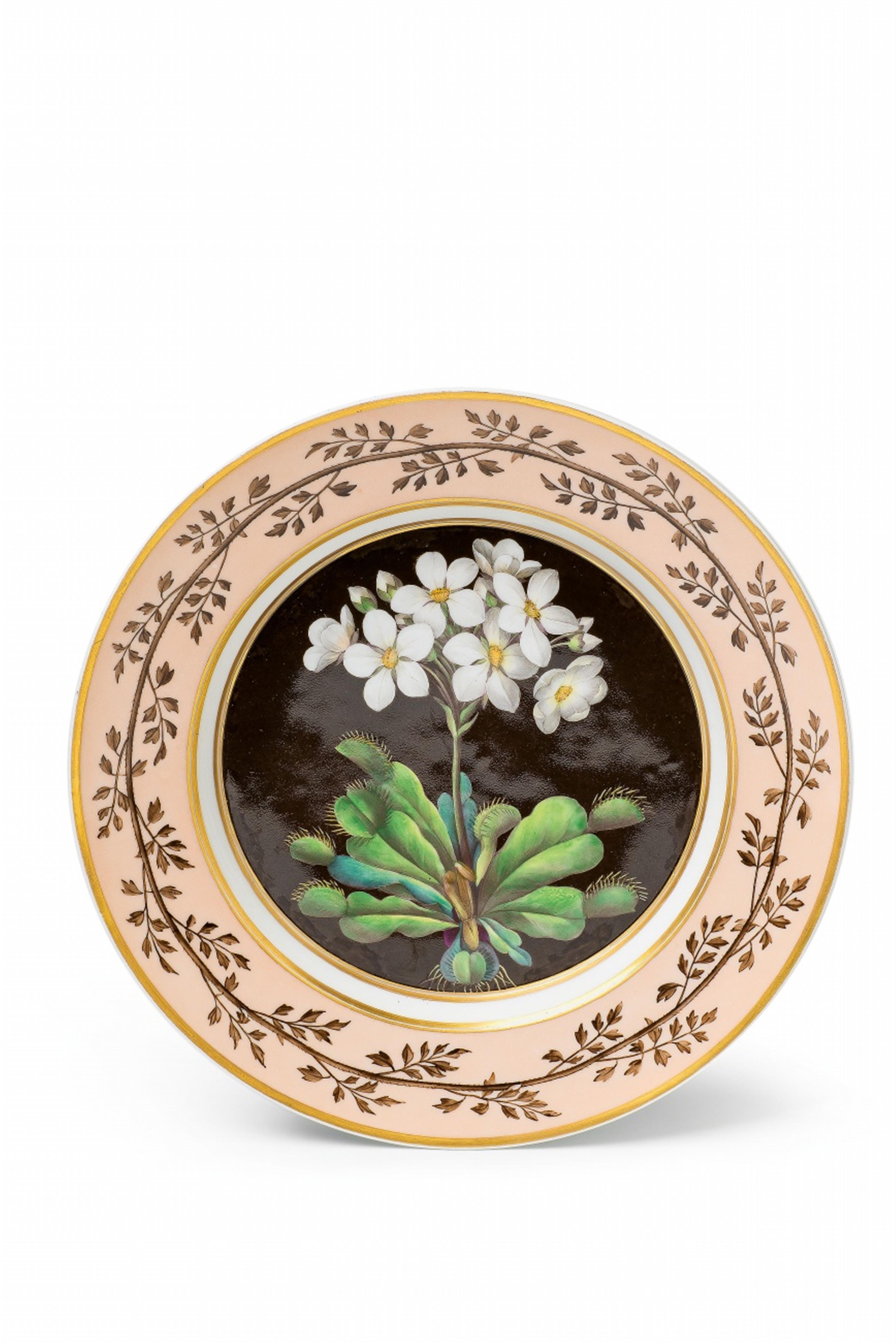 A Berlin KPM porcelain plate with a Venus fly trap - image-1