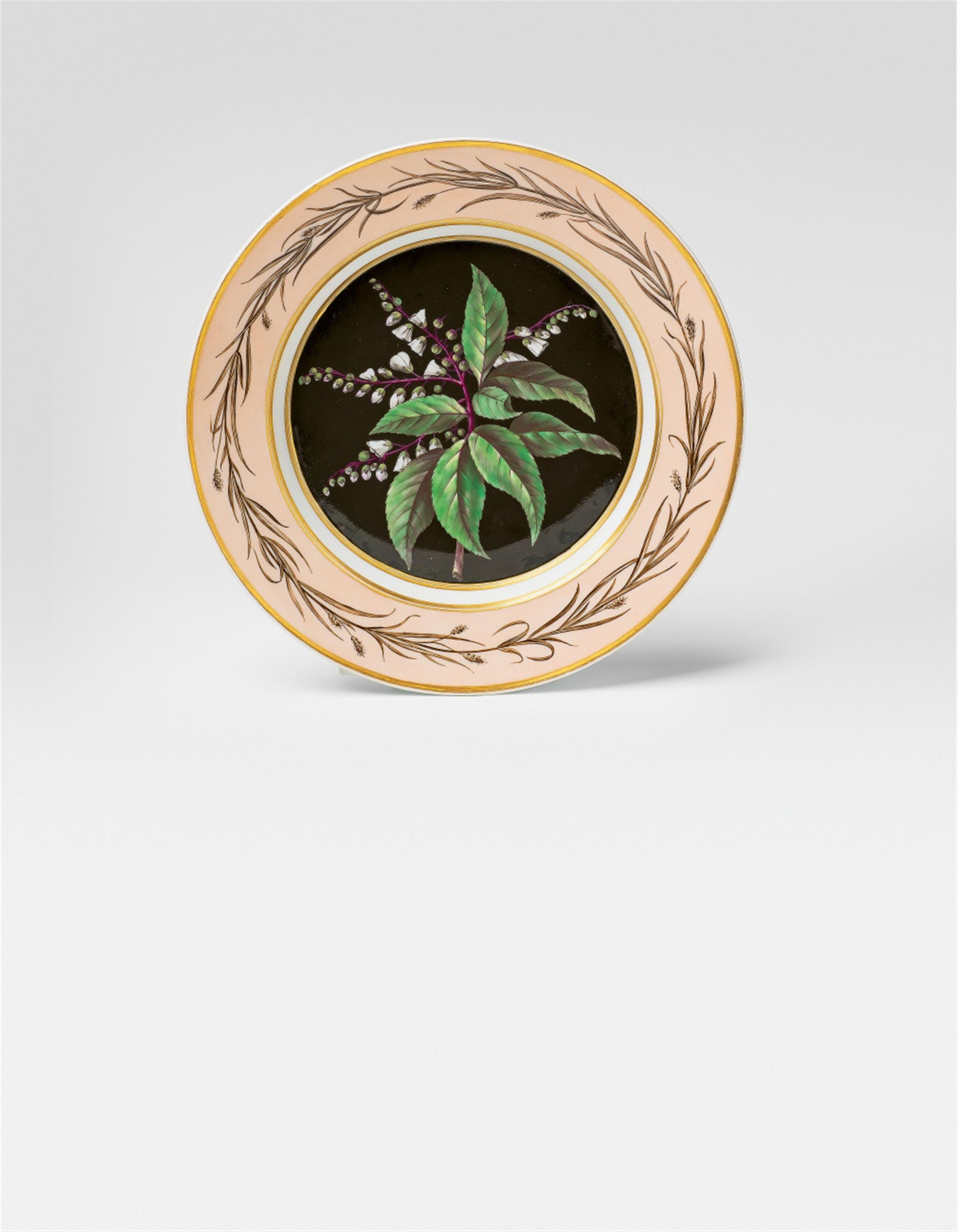 A Berlin KPM porcelain plate with a clethraceae - image-1