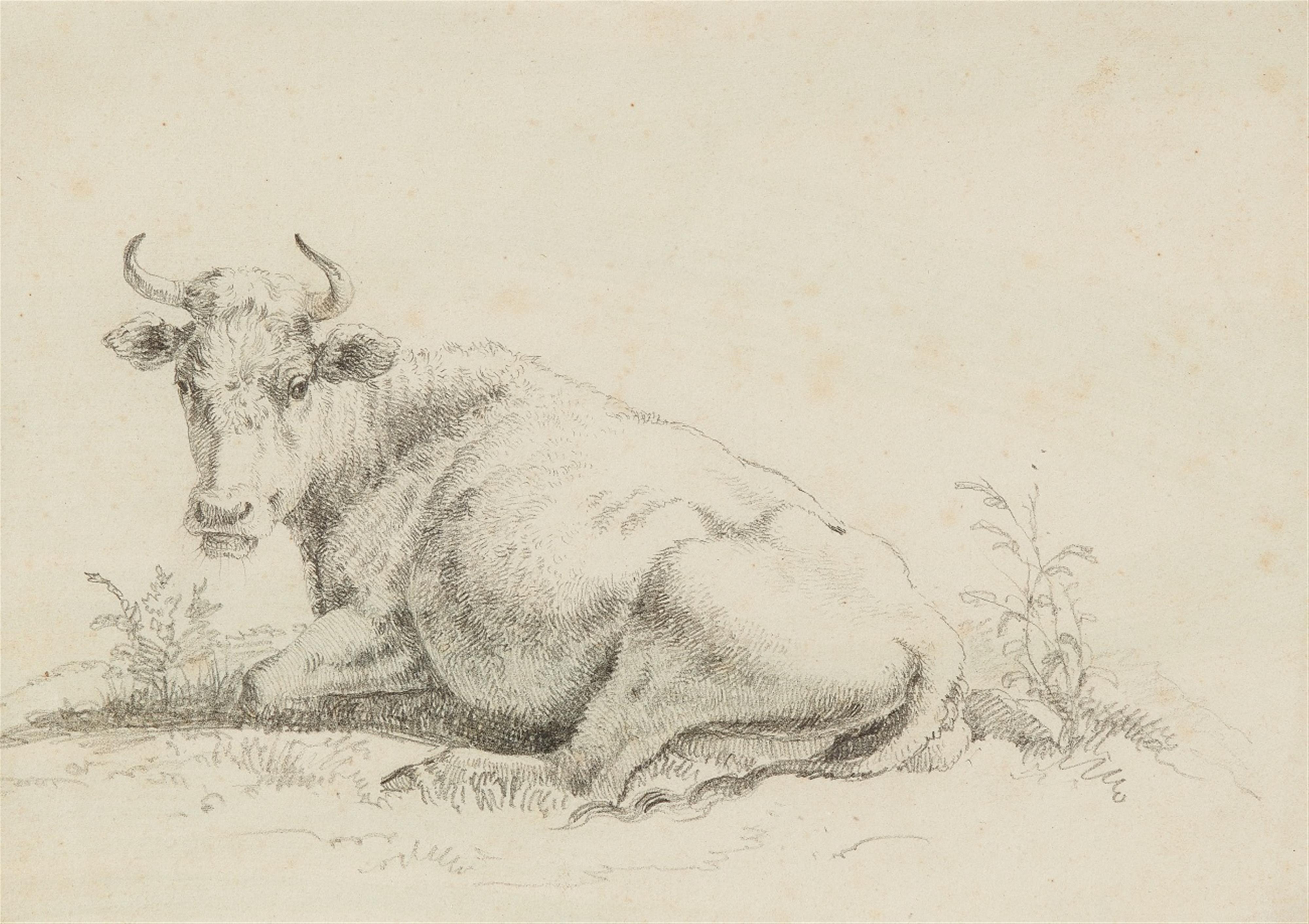Netherlandish School 18th century - A Resting Cow - image-1