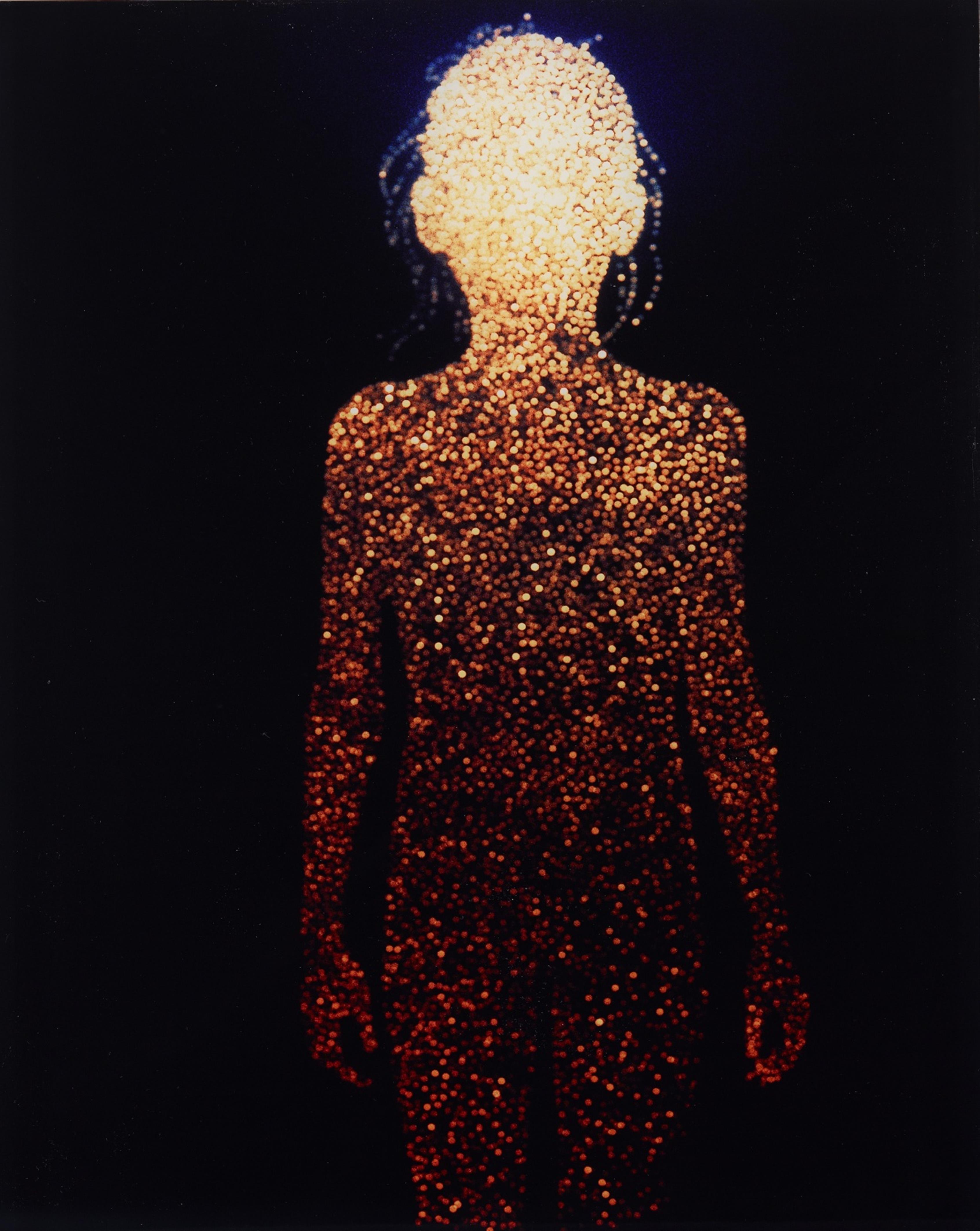 Christopher Bucklow - Untitled 82410796 (from the series: Guest) - image-1