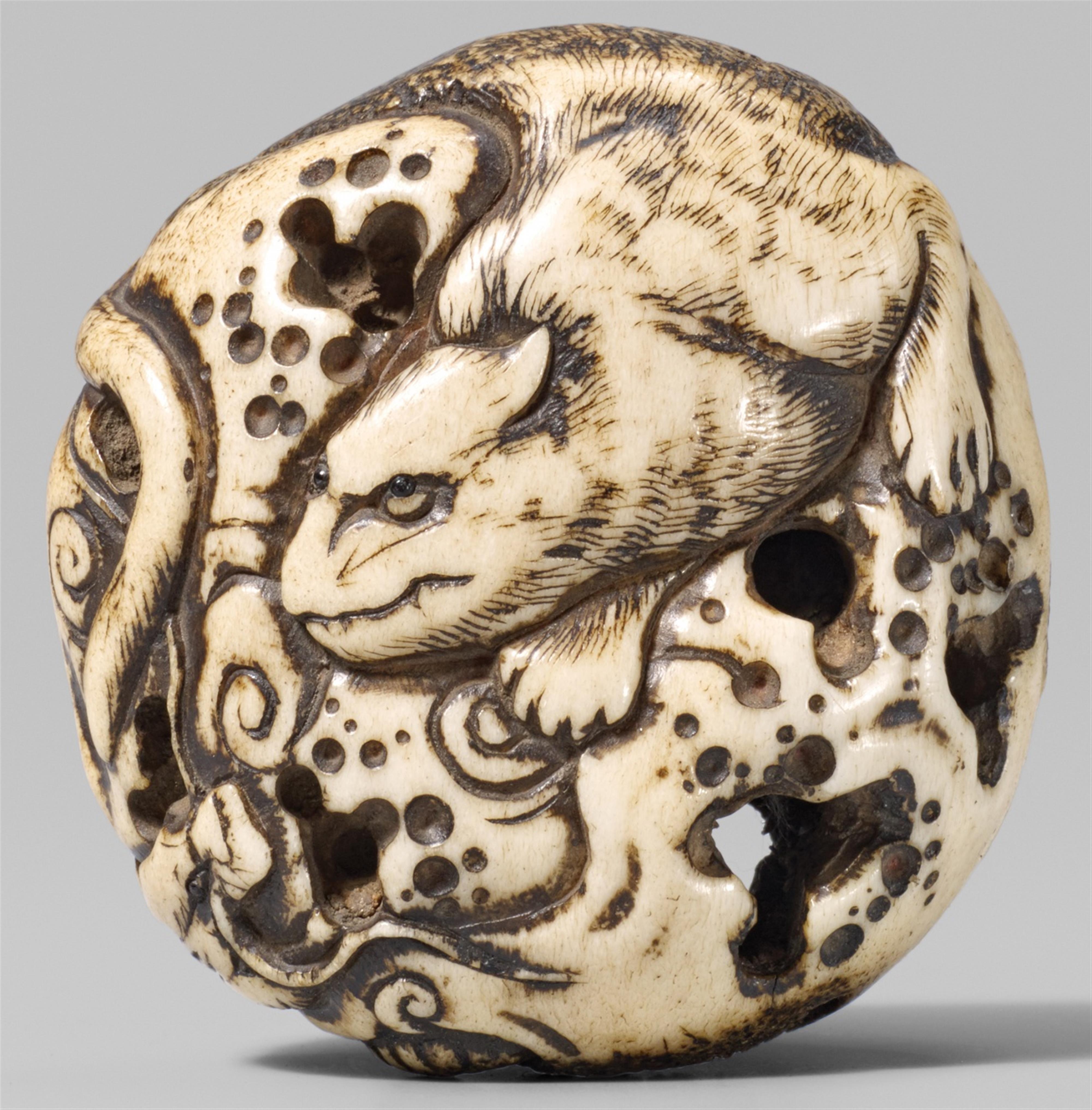 A large stag antler manjû-type netsuke of a tiger and dragon. 19th century - image-1