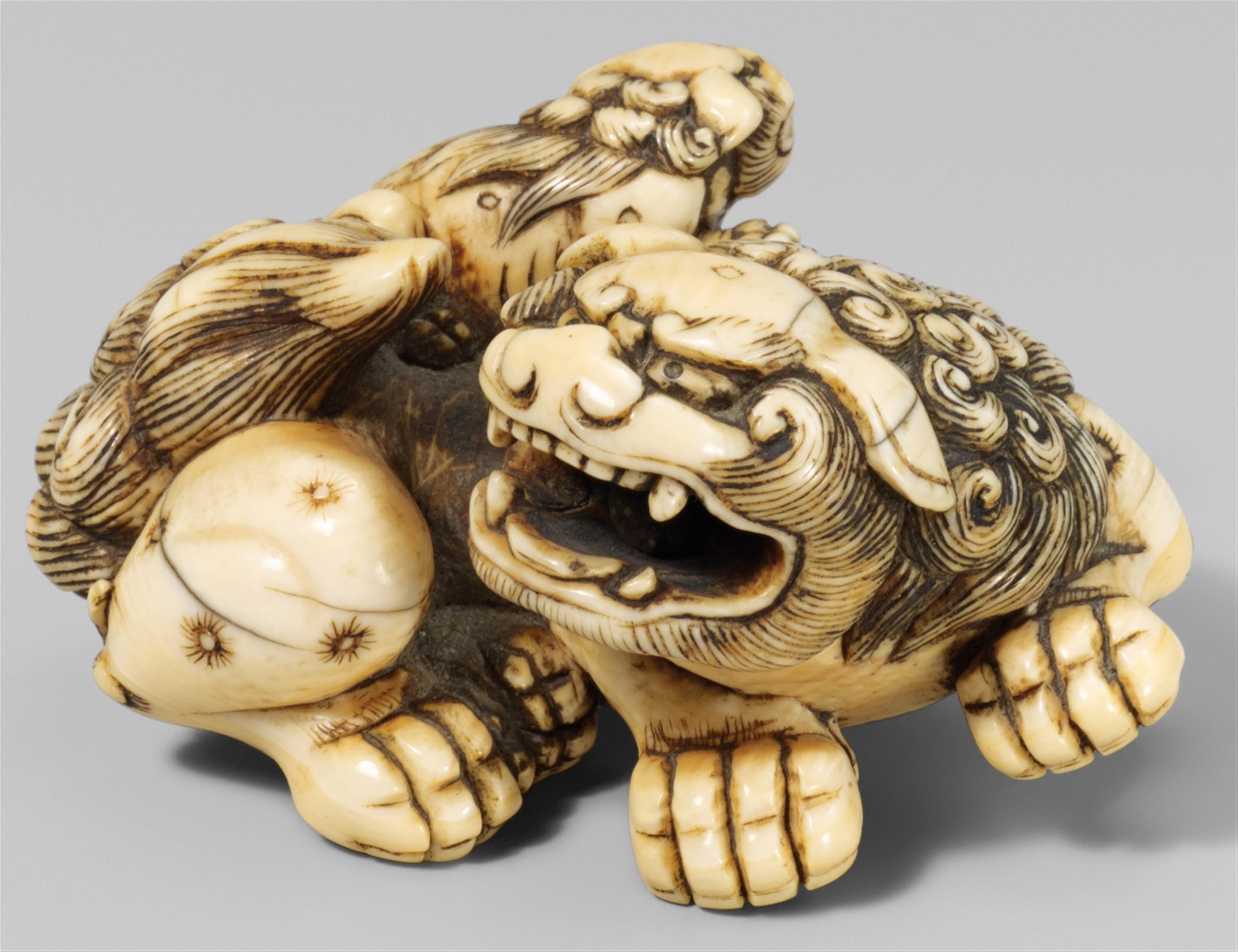 A large ivory netsuke of a shishi and young. Late 18th century - image-1