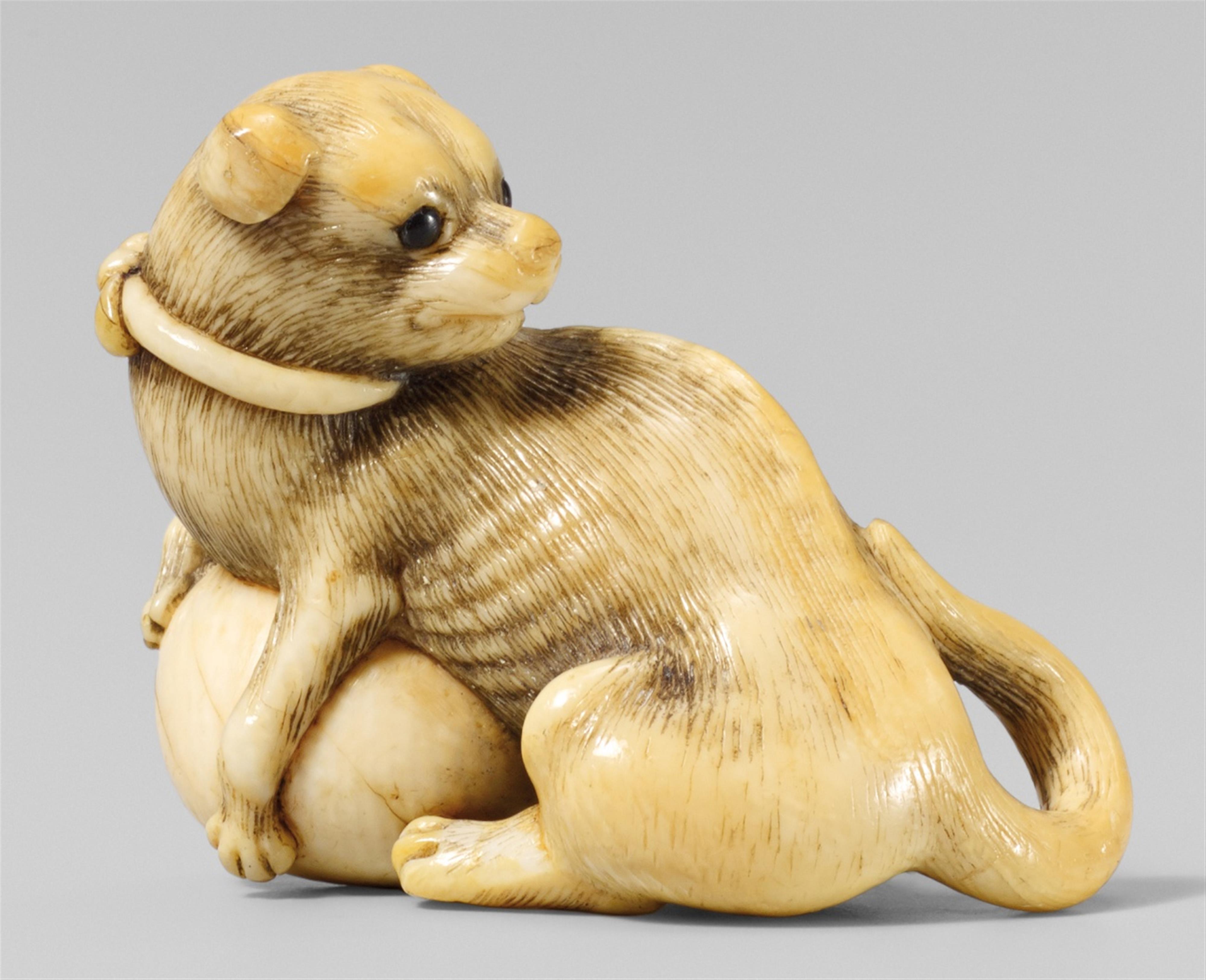 An ivory netsuke of a dog with a ball. Mid-19th century - image-1