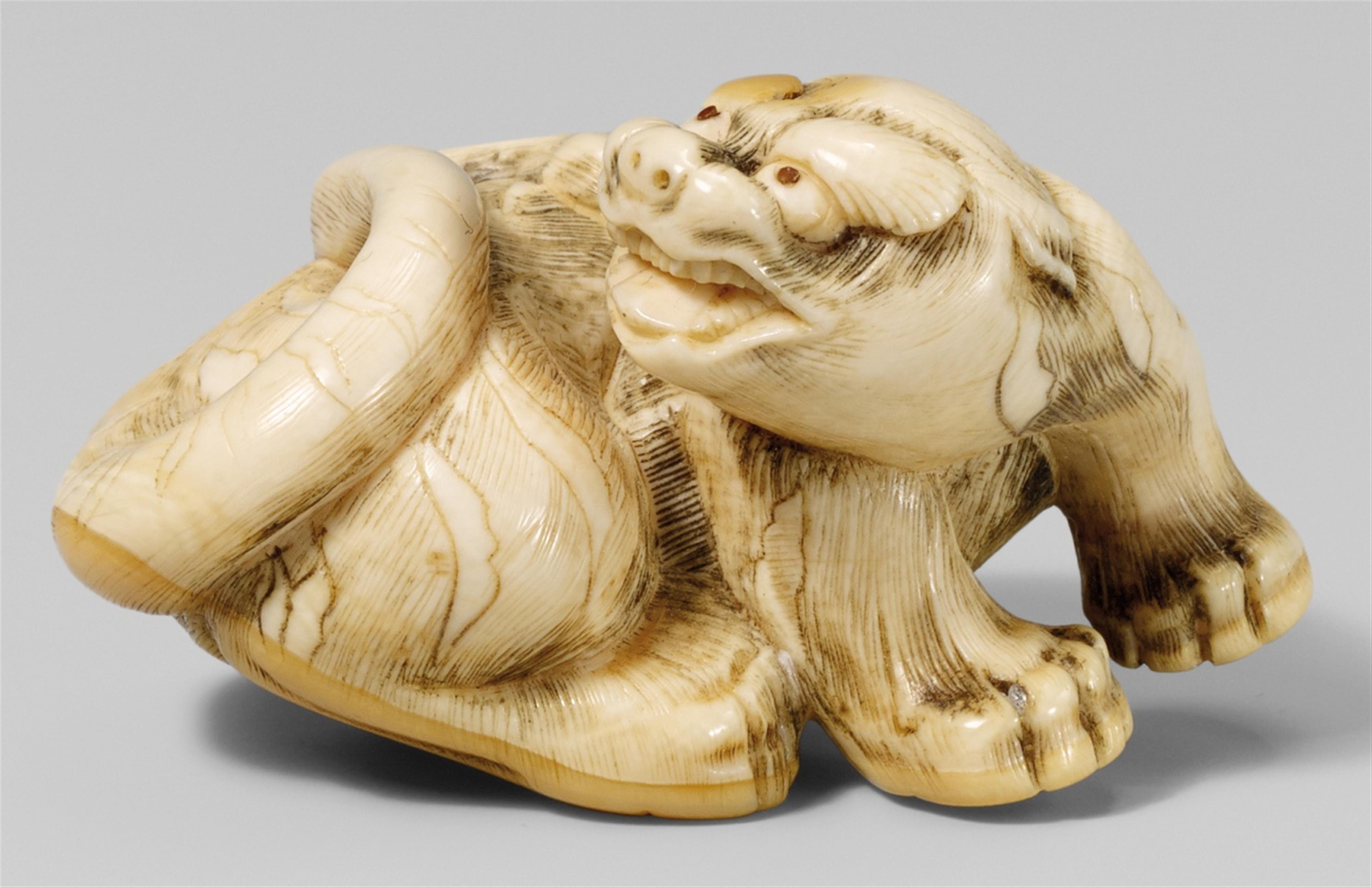 An ivory netsuke of a recumbent tiger. Late 18th century - image-1
