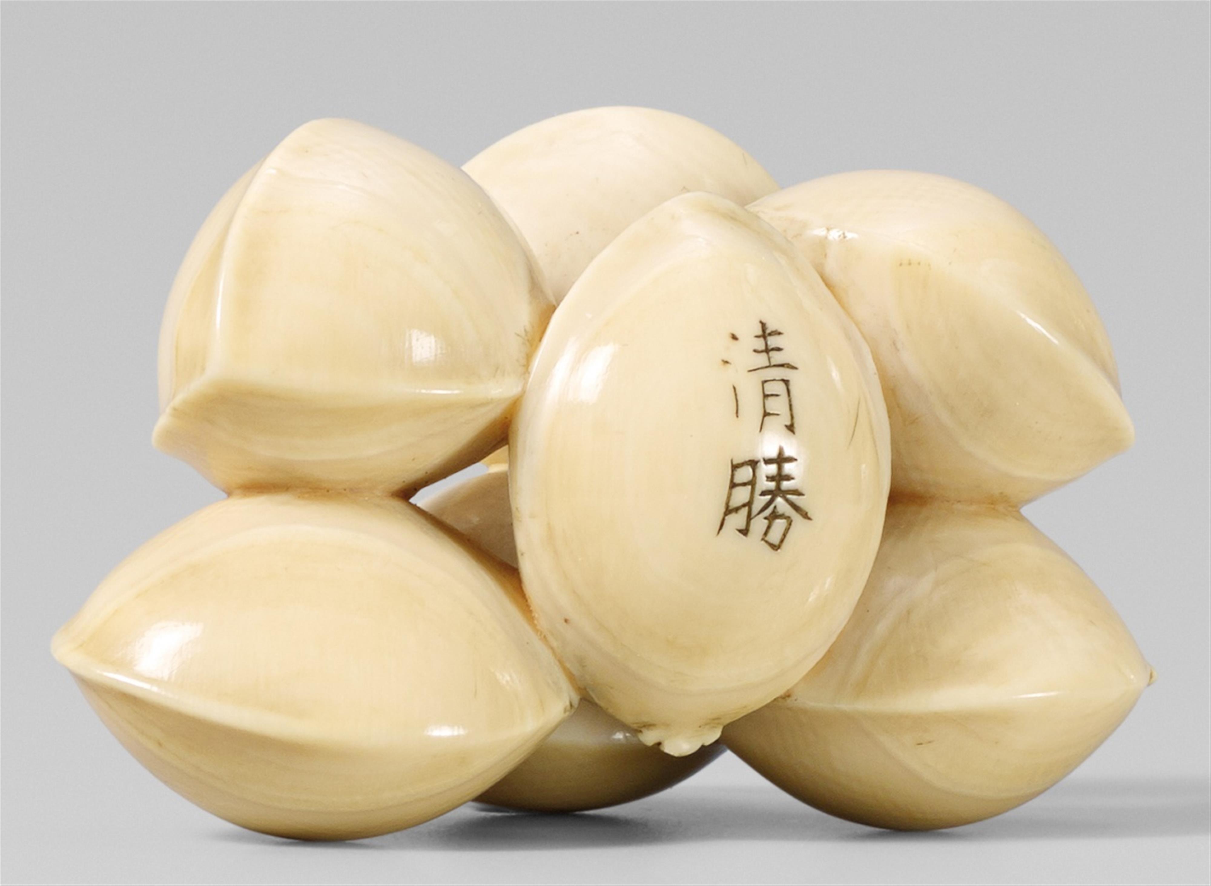 An ivory group of seven ginkgo nuts, by Kiyokatsu. 19th century - image-1