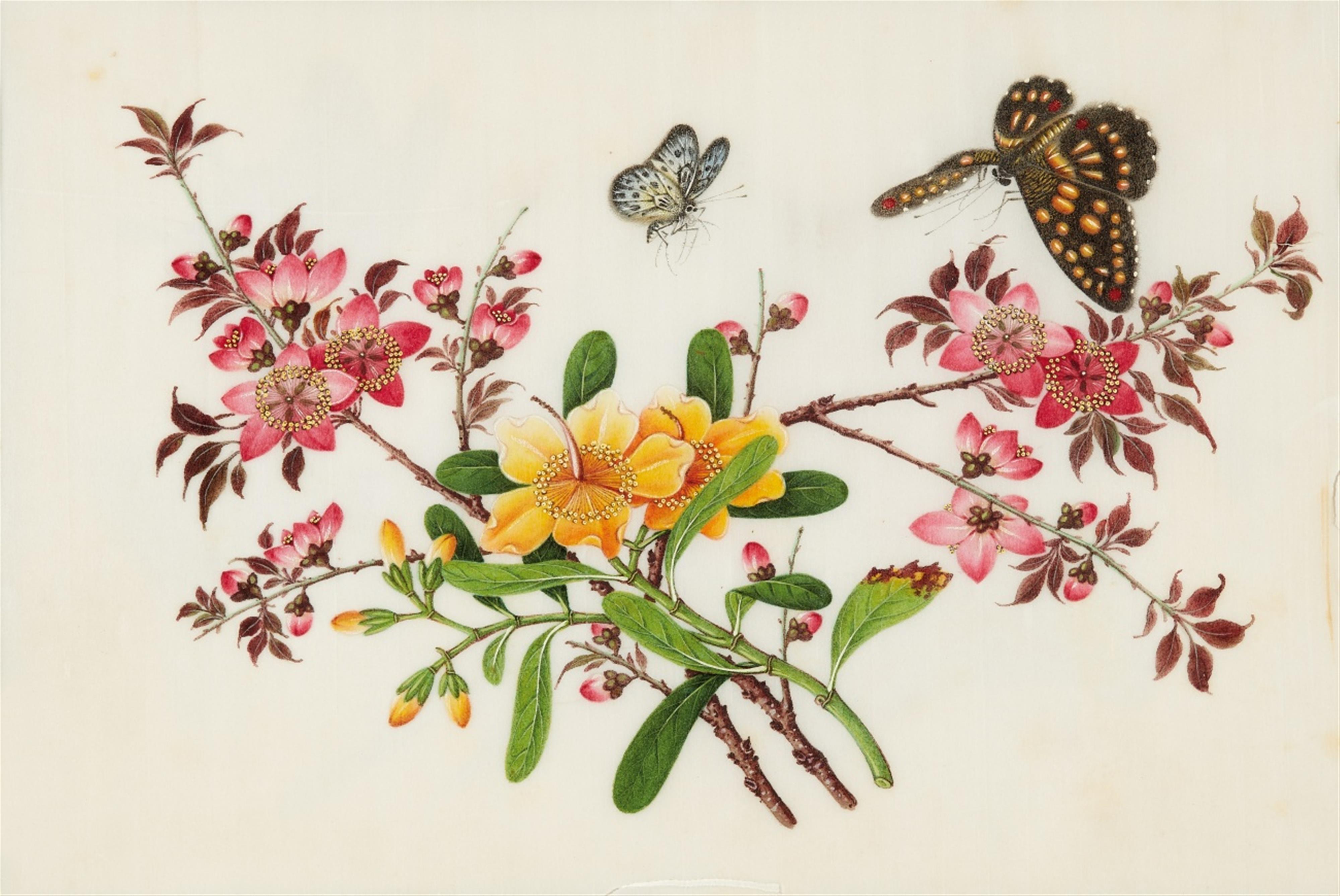 Studio of Youqua . Canton. 19th century. - An album of twelve botanical paintings - image-5