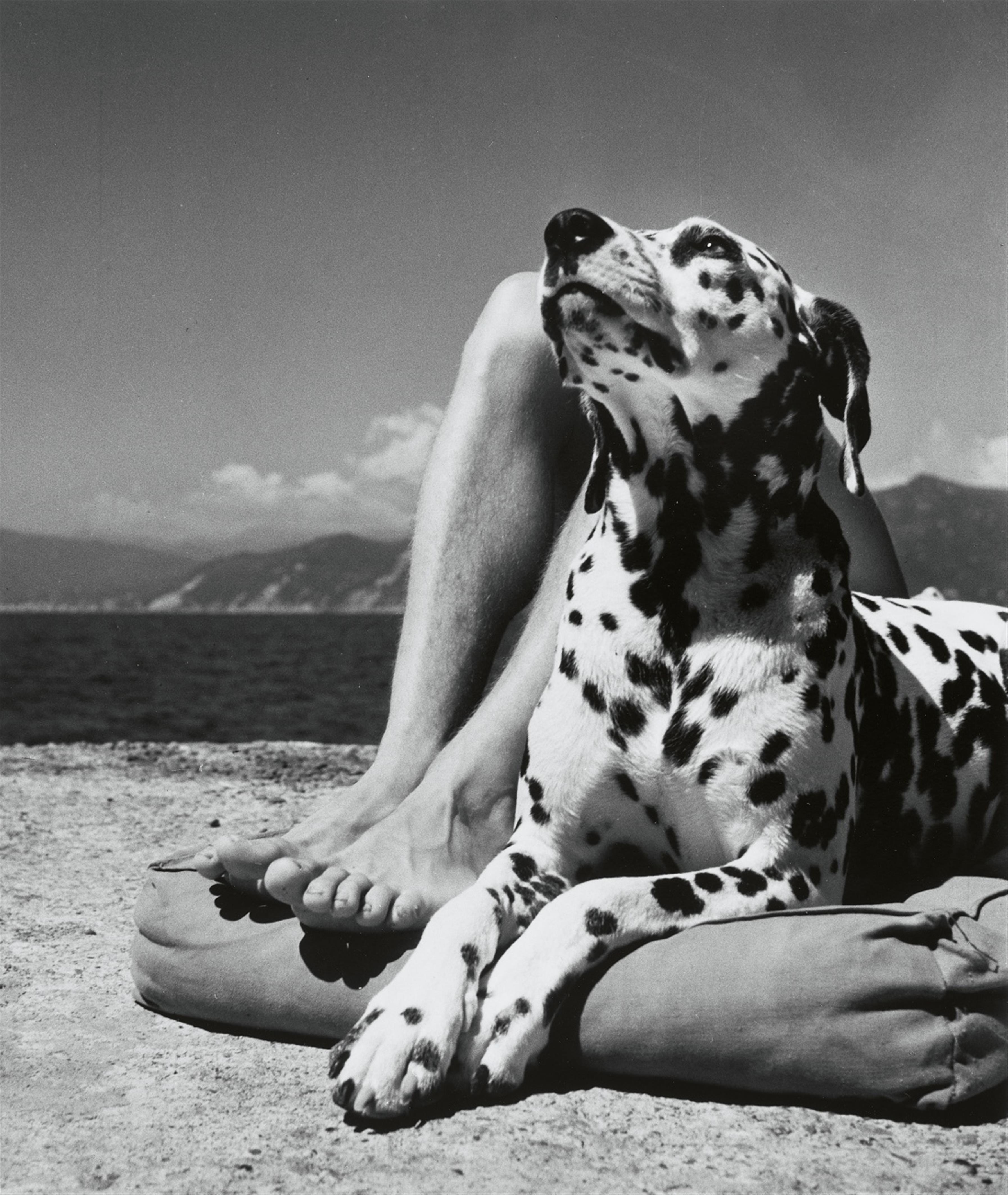Herbert List - Master and dog, Portofino, Italien - image-1