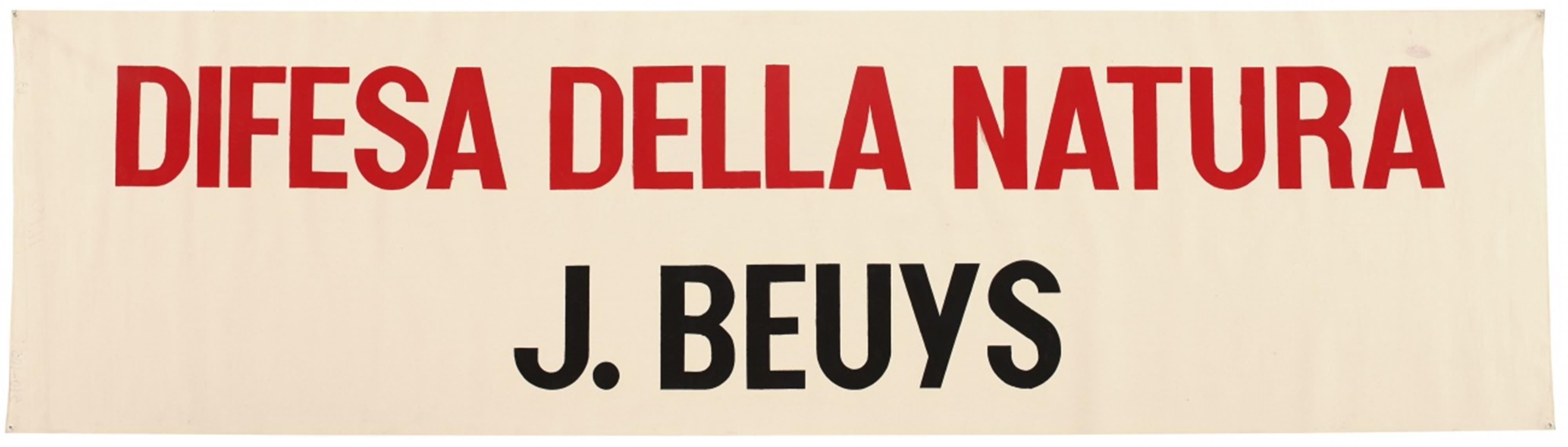 Joseph Beuys - Difesa della Natura - image-1