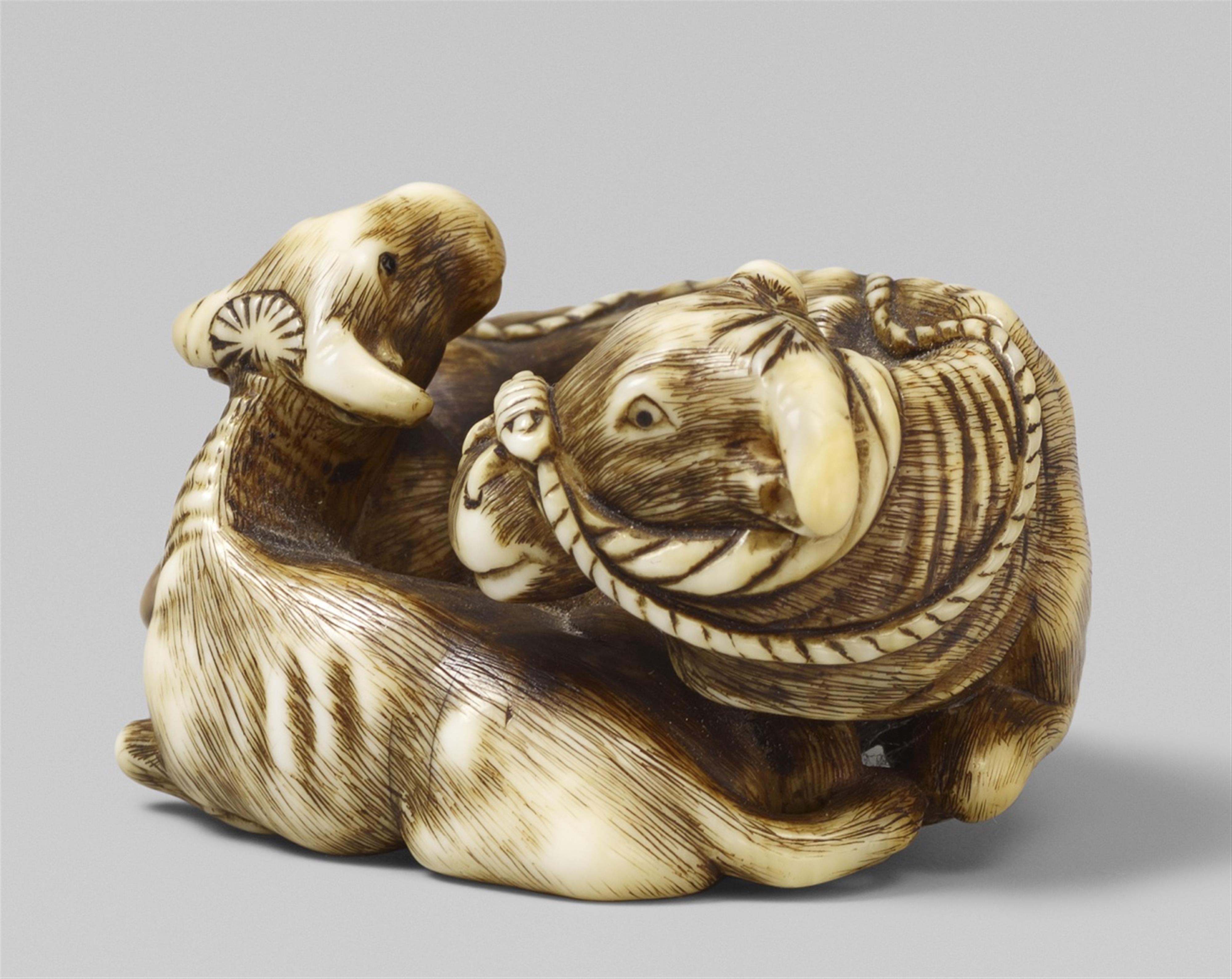 An ivory netsuke of an ox with a calf. Early 19th century - image-2