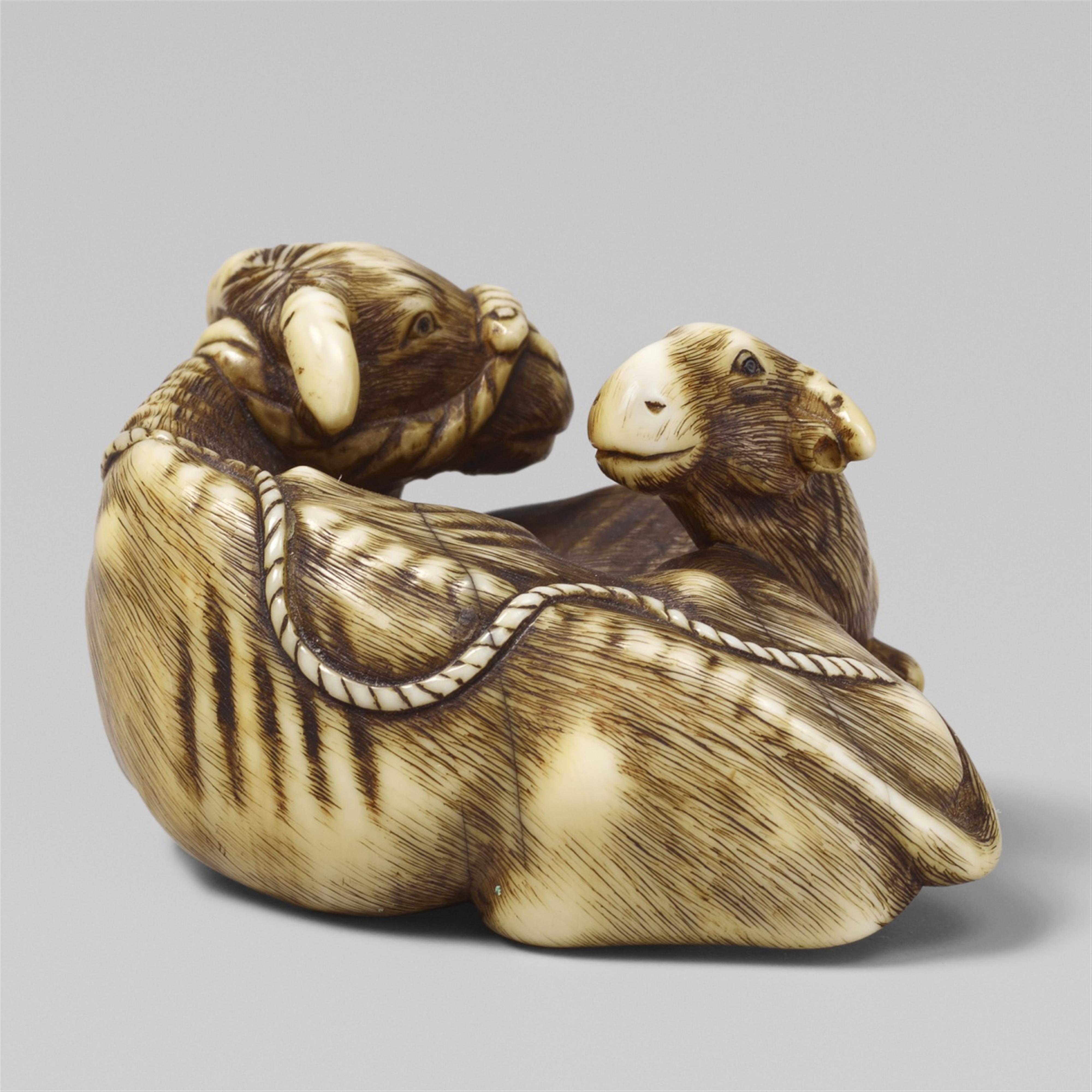 An ivory netsuke of an ox with a calf. Early 19th century - image-1