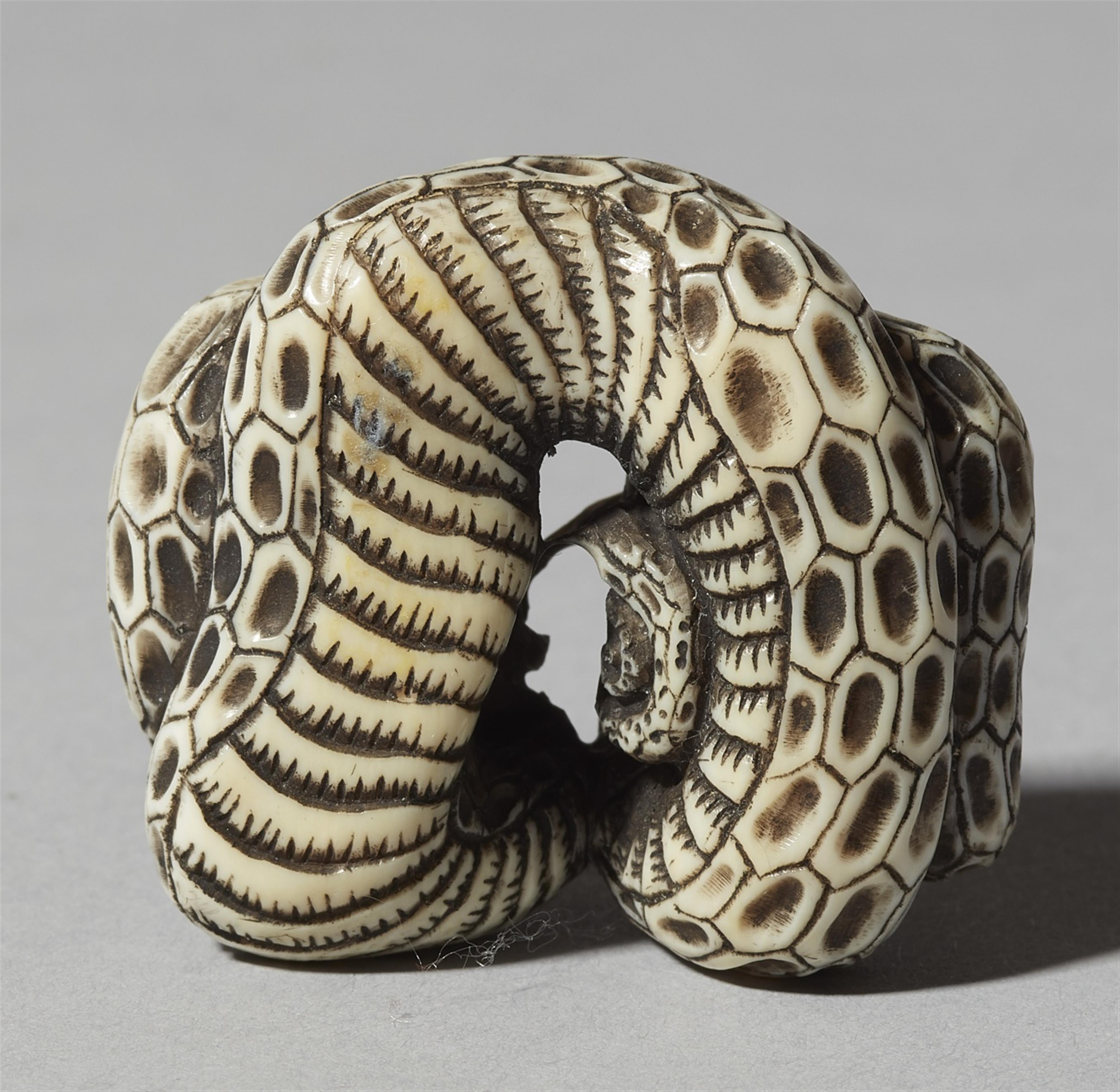An ivory netsuke of a winding snake. 20th century - image-2