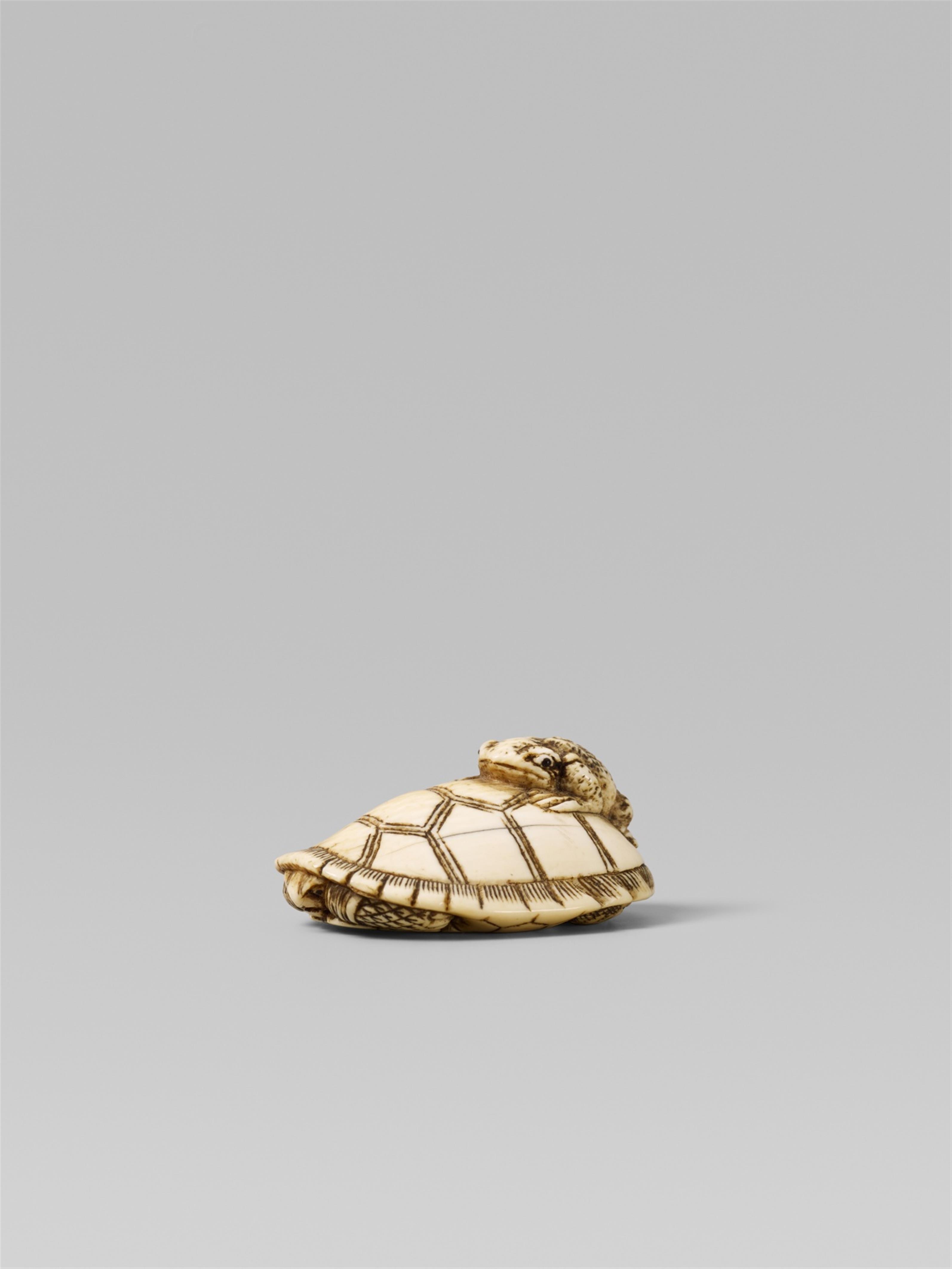 Two ivory netsuke of toads. Late 19th century - image-2