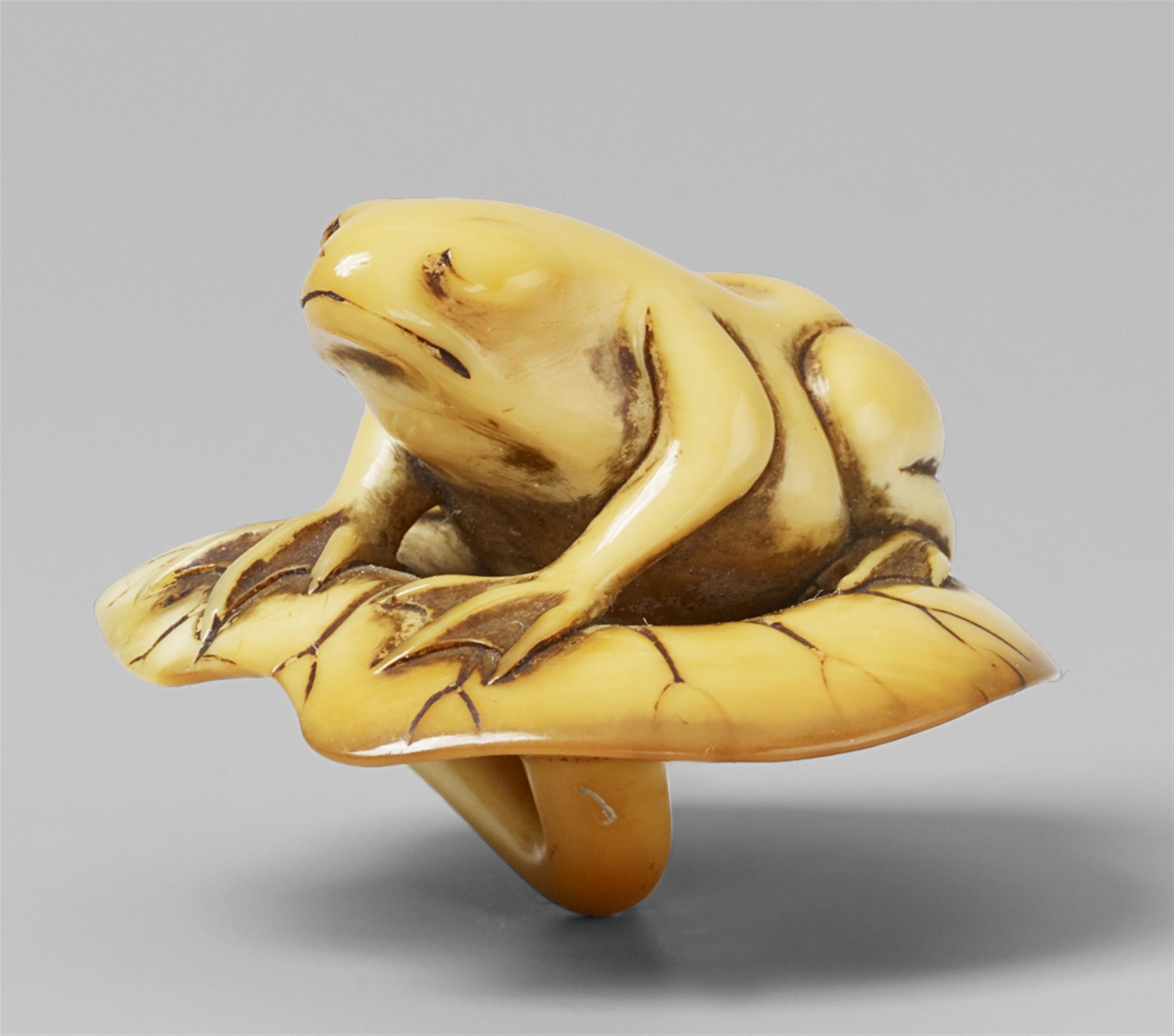 An ivory netsuke of a frog on lotus leaf, by Hokusui. 19th century. - image-1